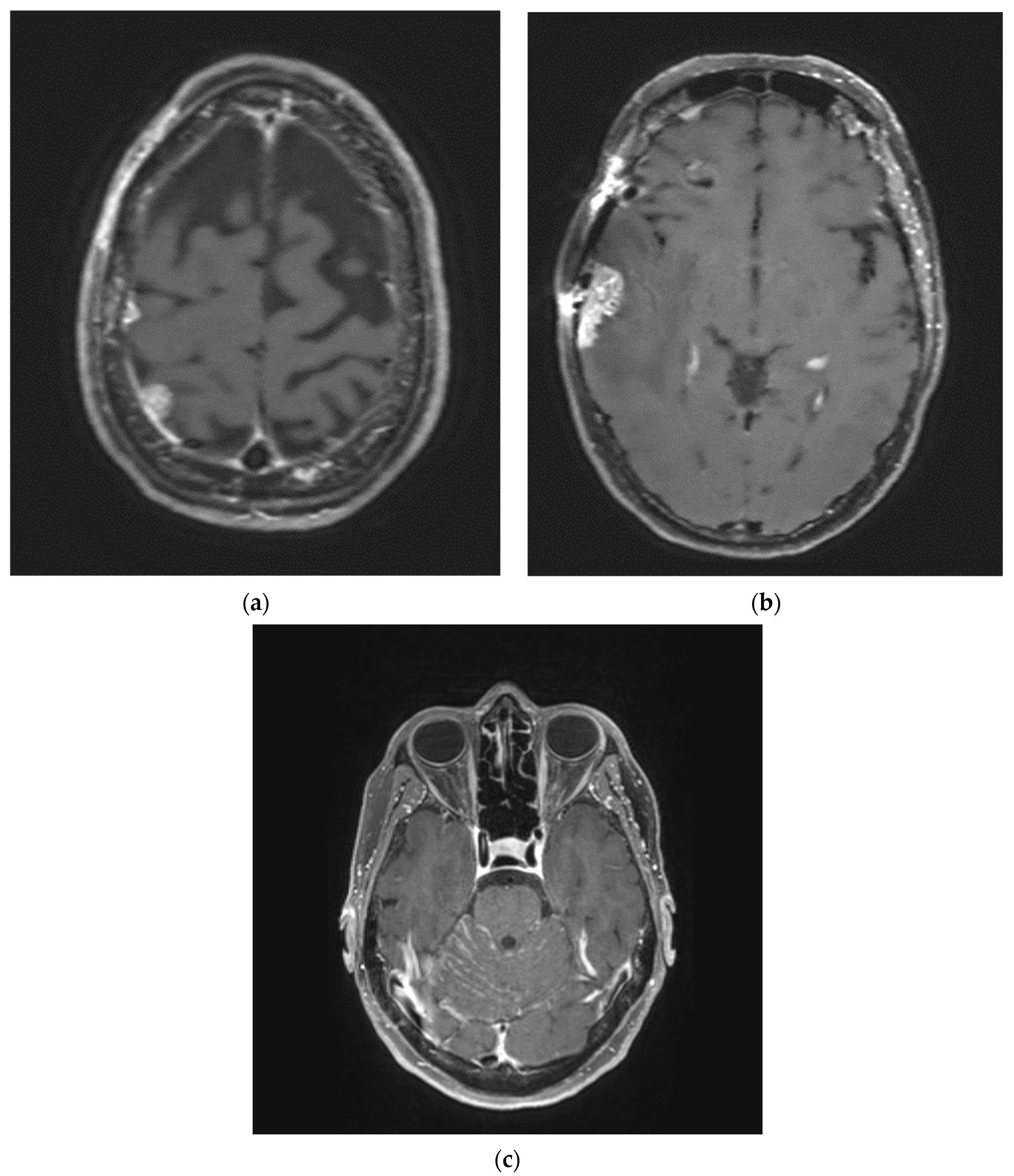 Biomedicines 12 01792 g001