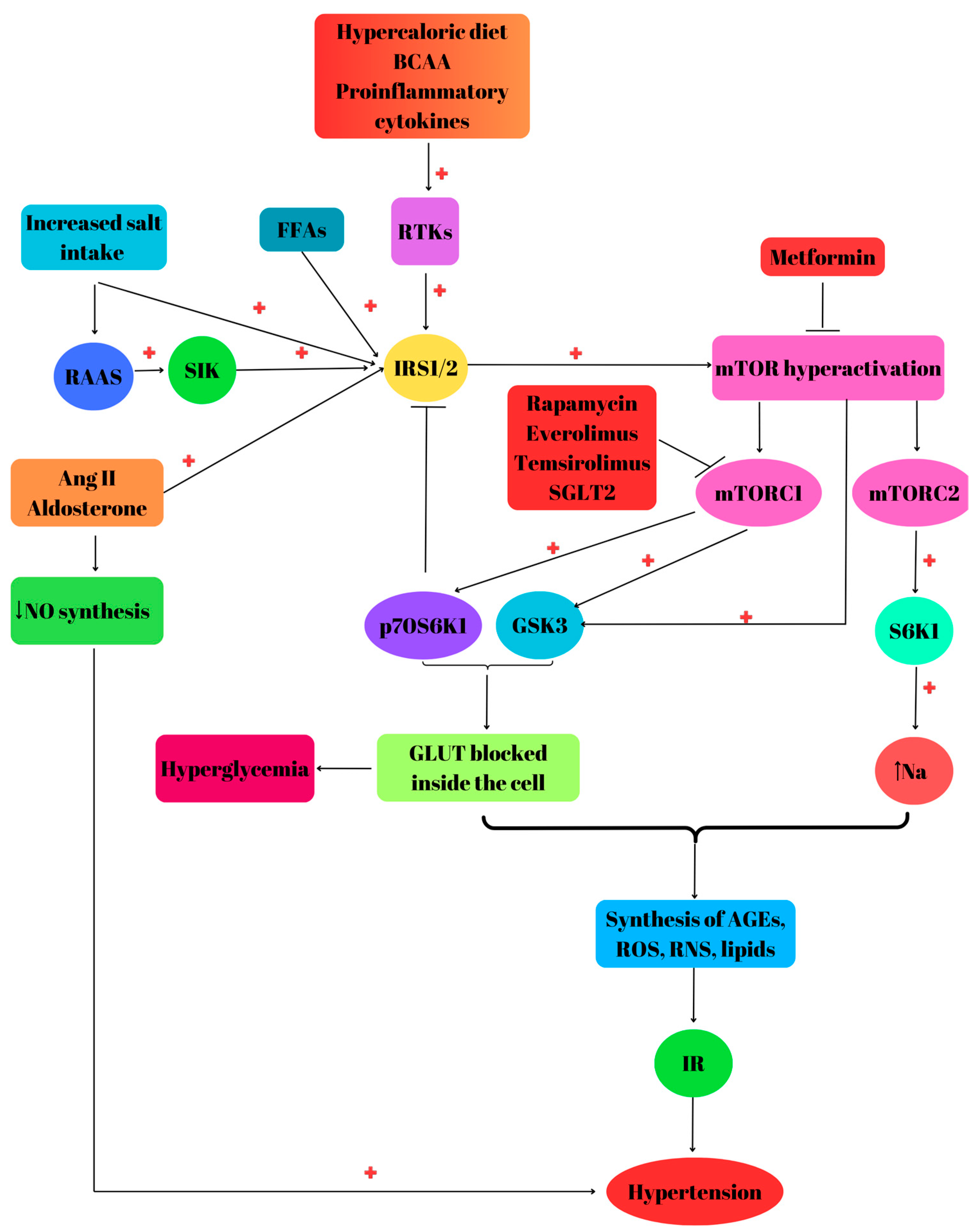 Biomedicines 12 01802 g002