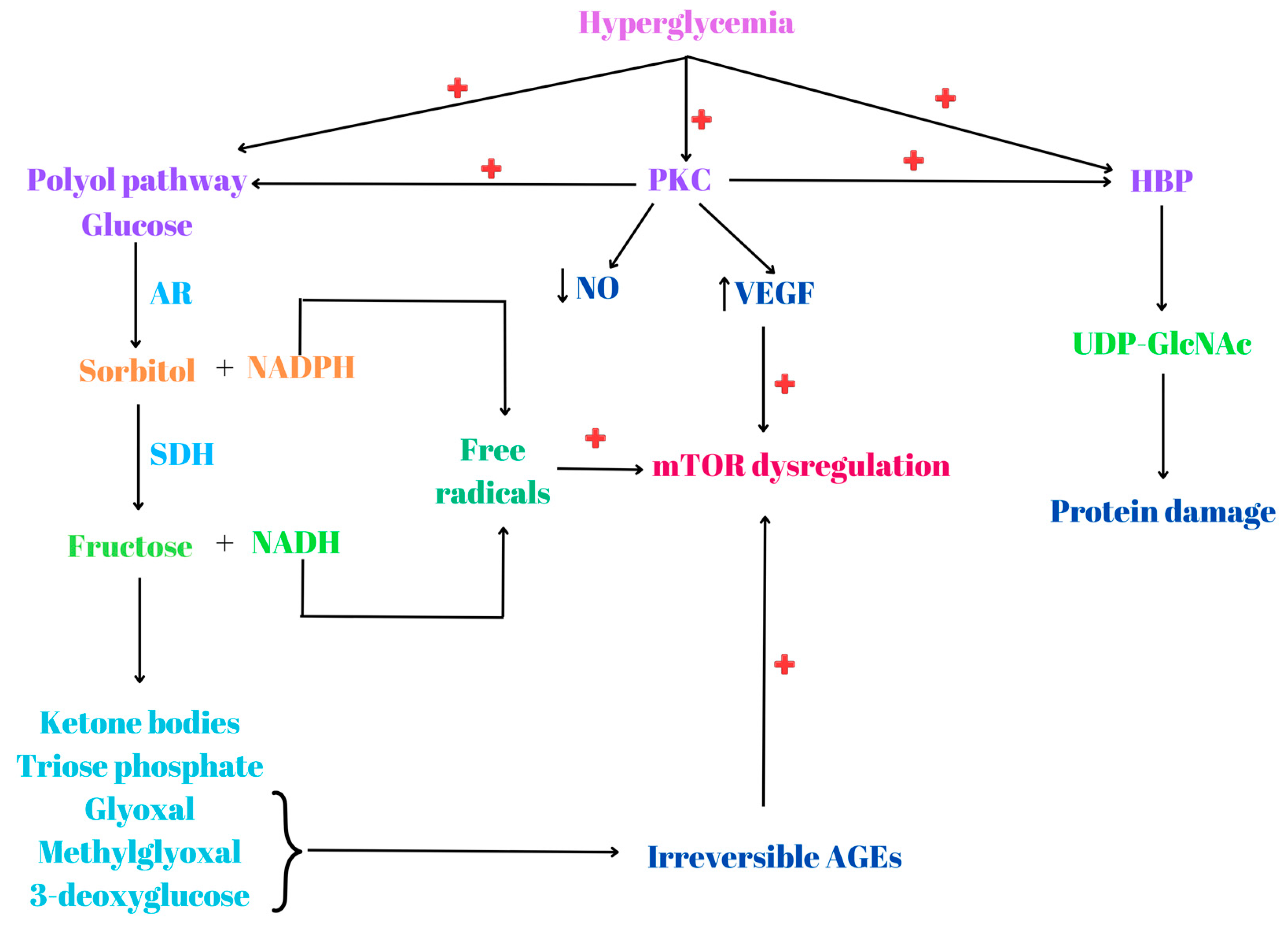 Biomedicines 12 01802 g003