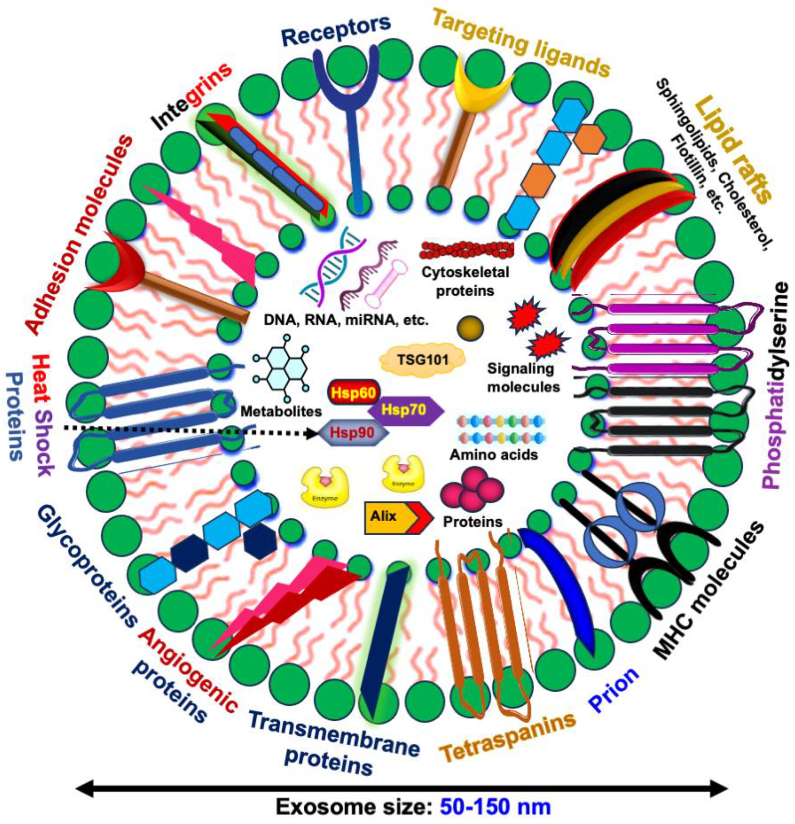 Biomedicines 12 01809 g001