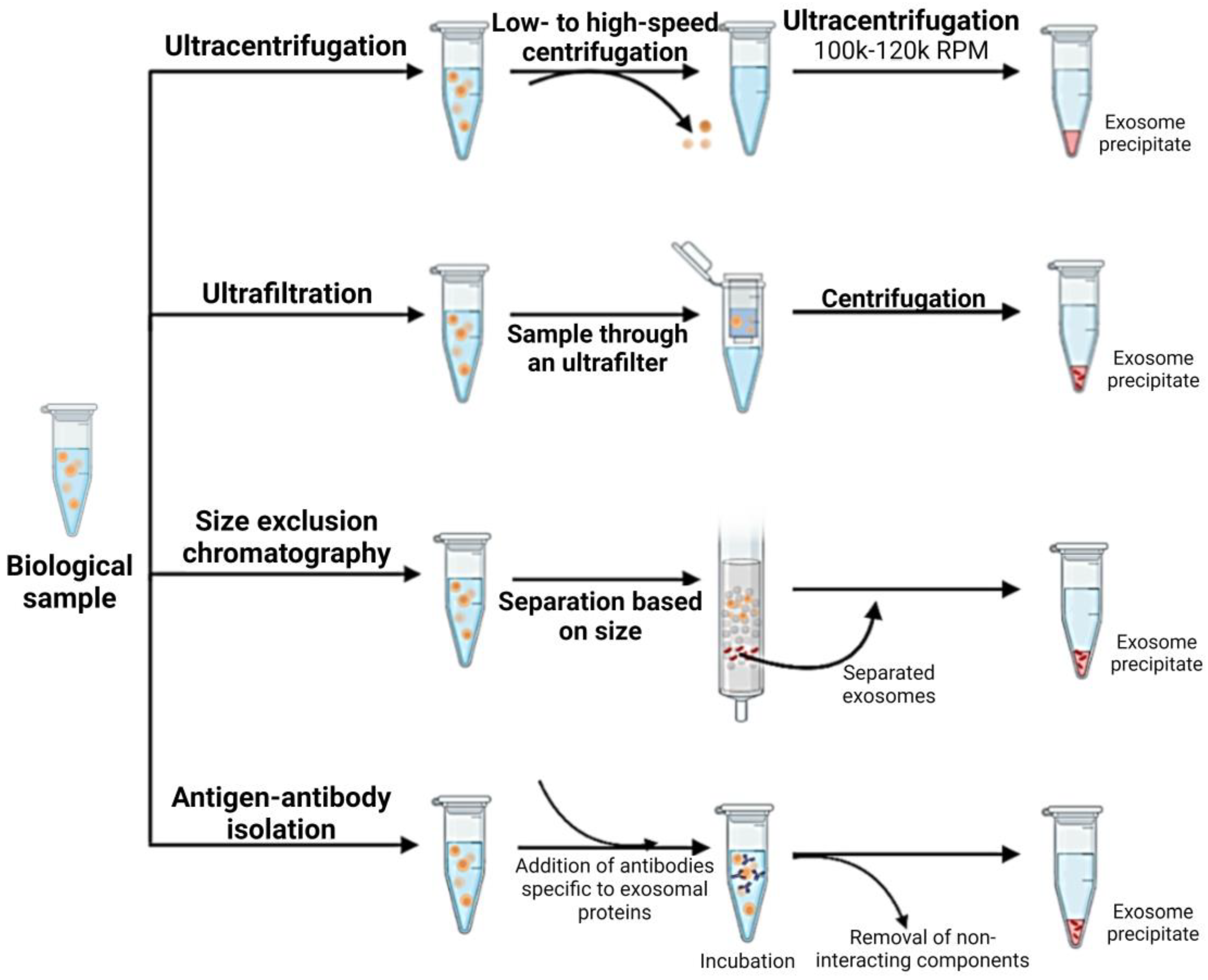 Biomedicines 12 01809 g003