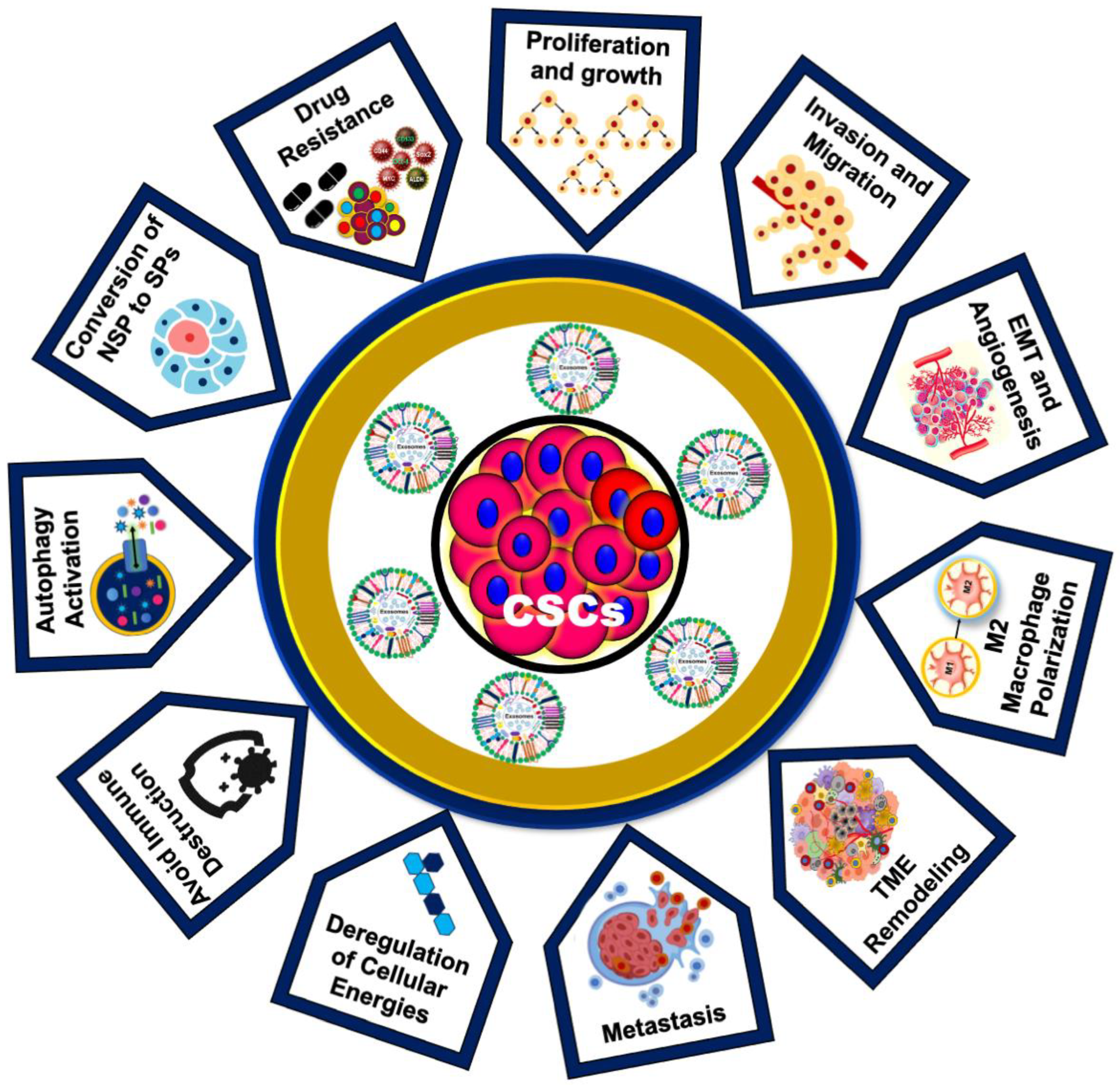 Biomedicines 12 01809 g004