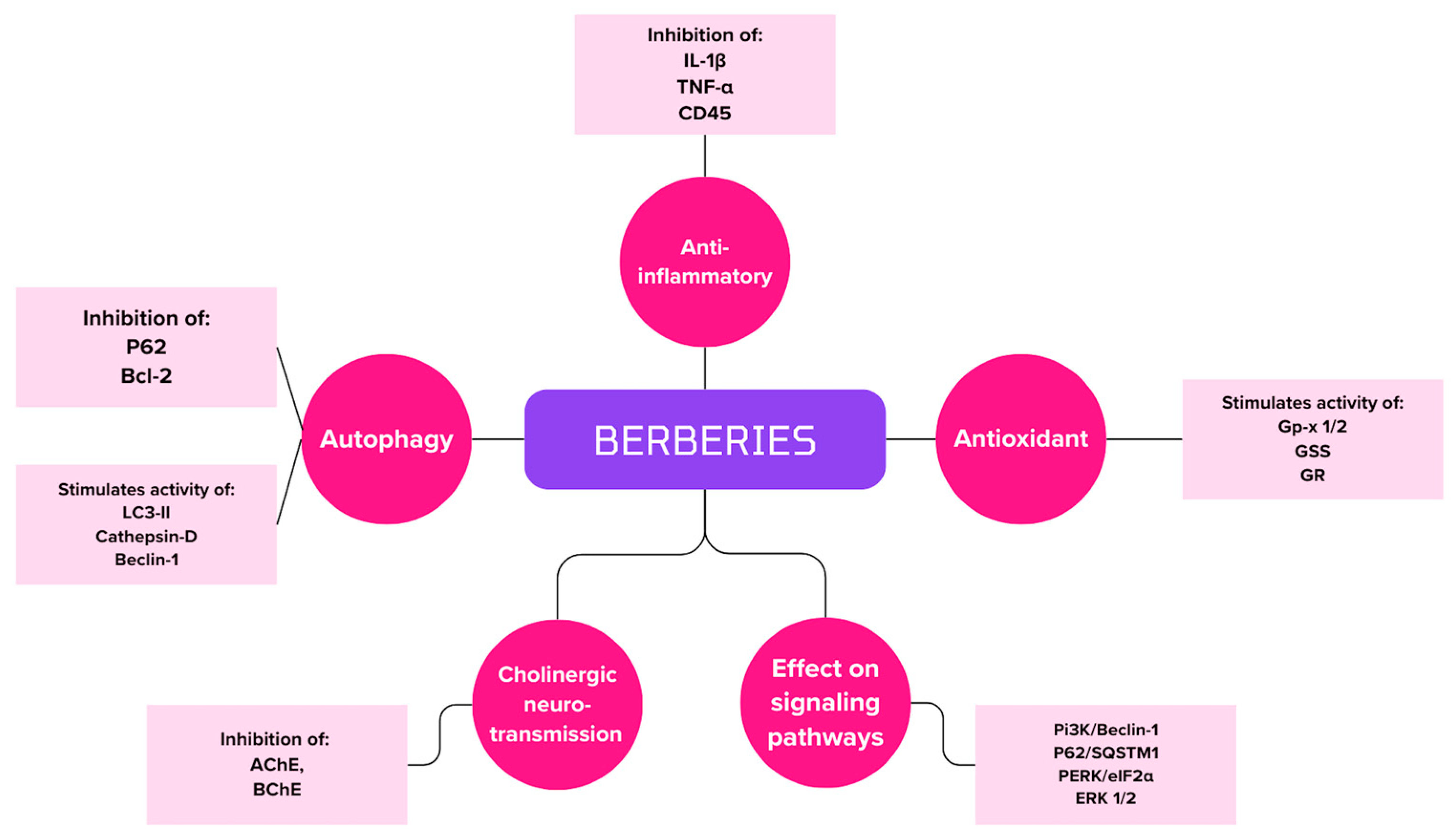 Biomedicines 12 01812 g006