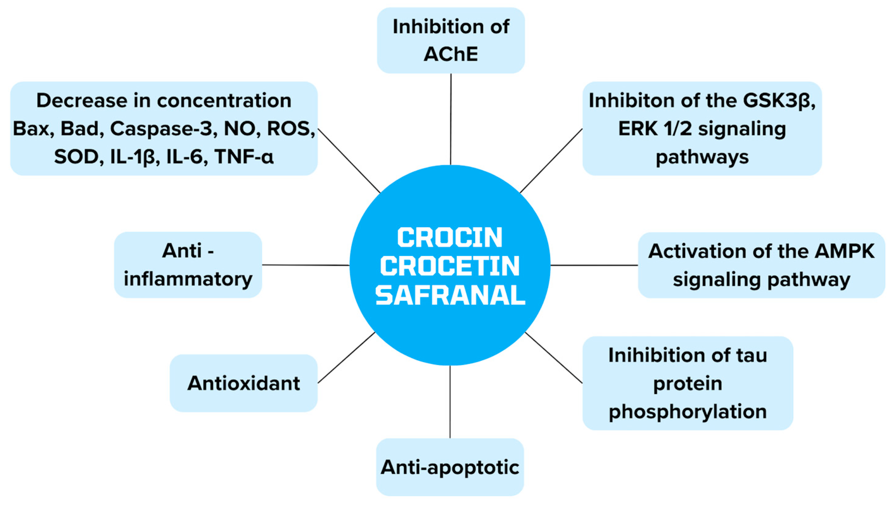 Biomedicines 12 01812 g007