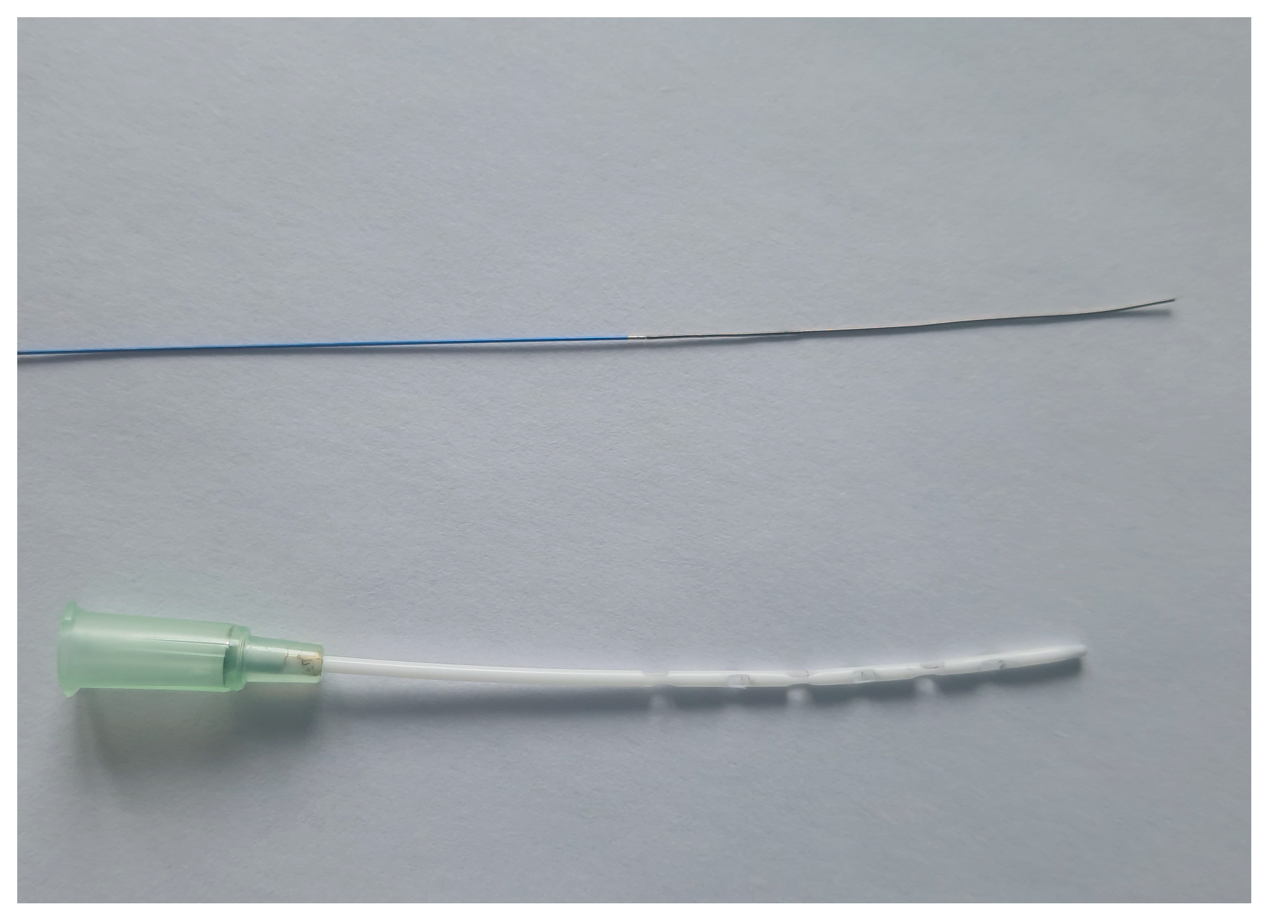 Biomedicines 12 01819 g001