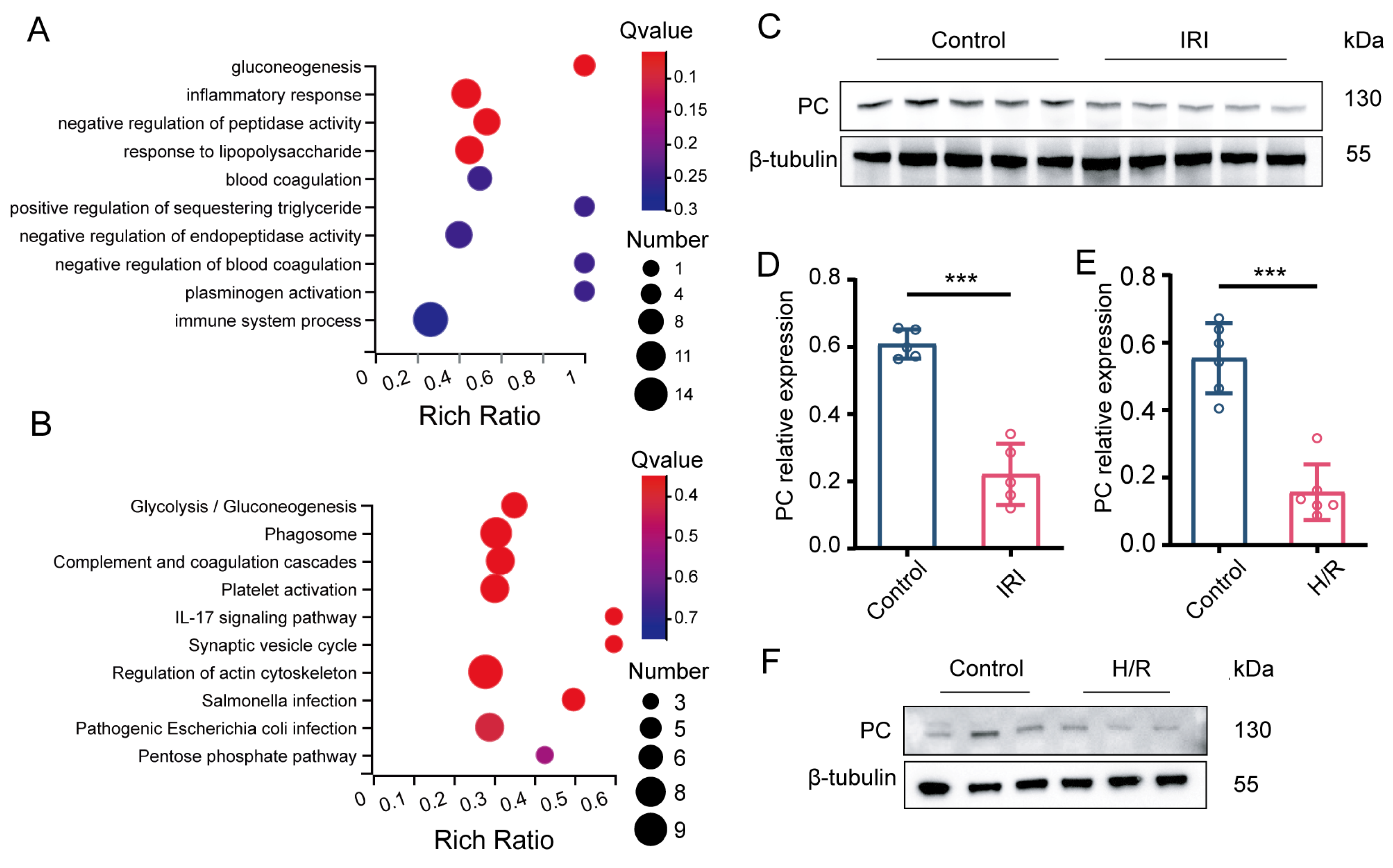 Biomedicines 12 01826 g001