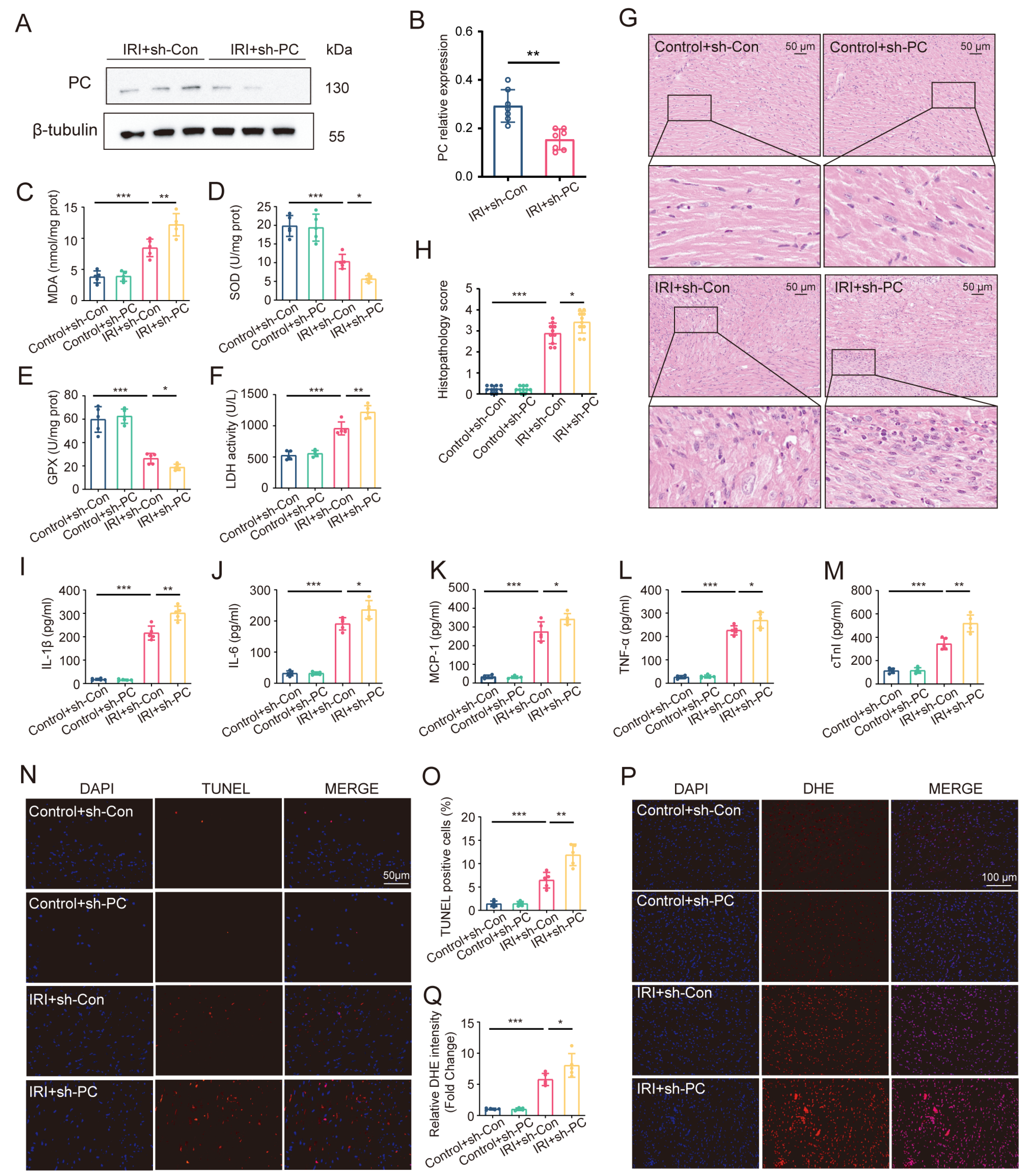 Biomedicines 12 01826 g002