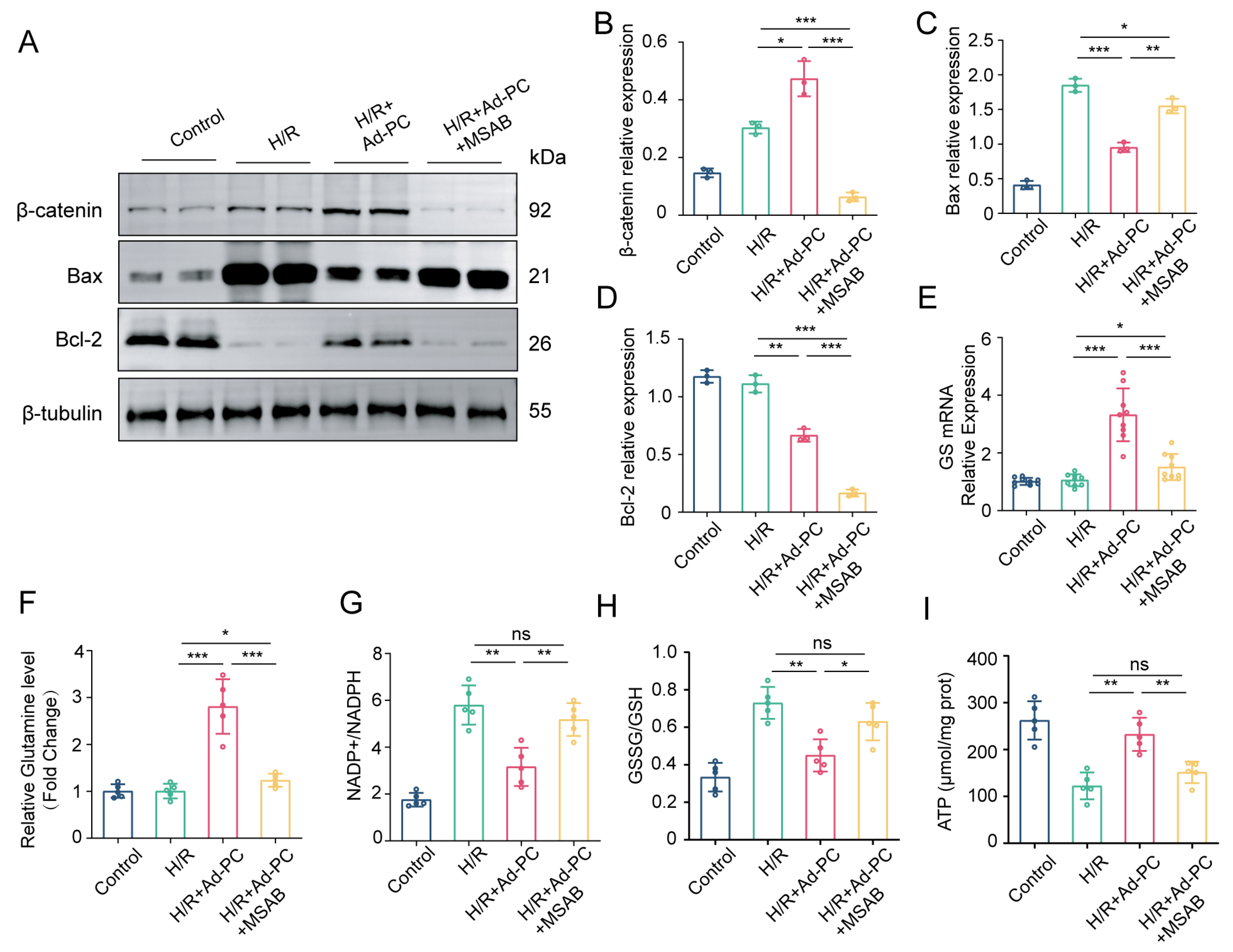 Biomedicines 12 01826 g007
