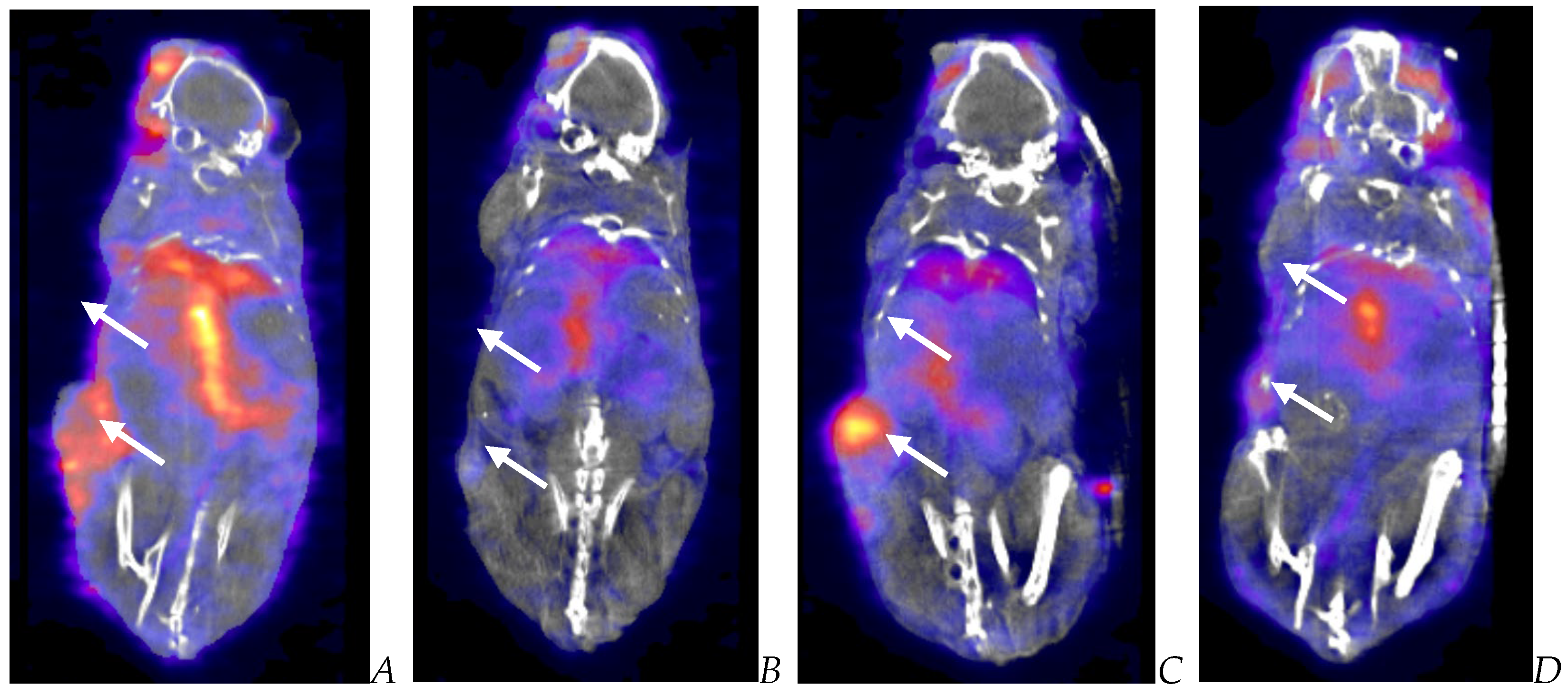 Biomedicines 12 01834 g010 Biomedicines 12 01834 g010