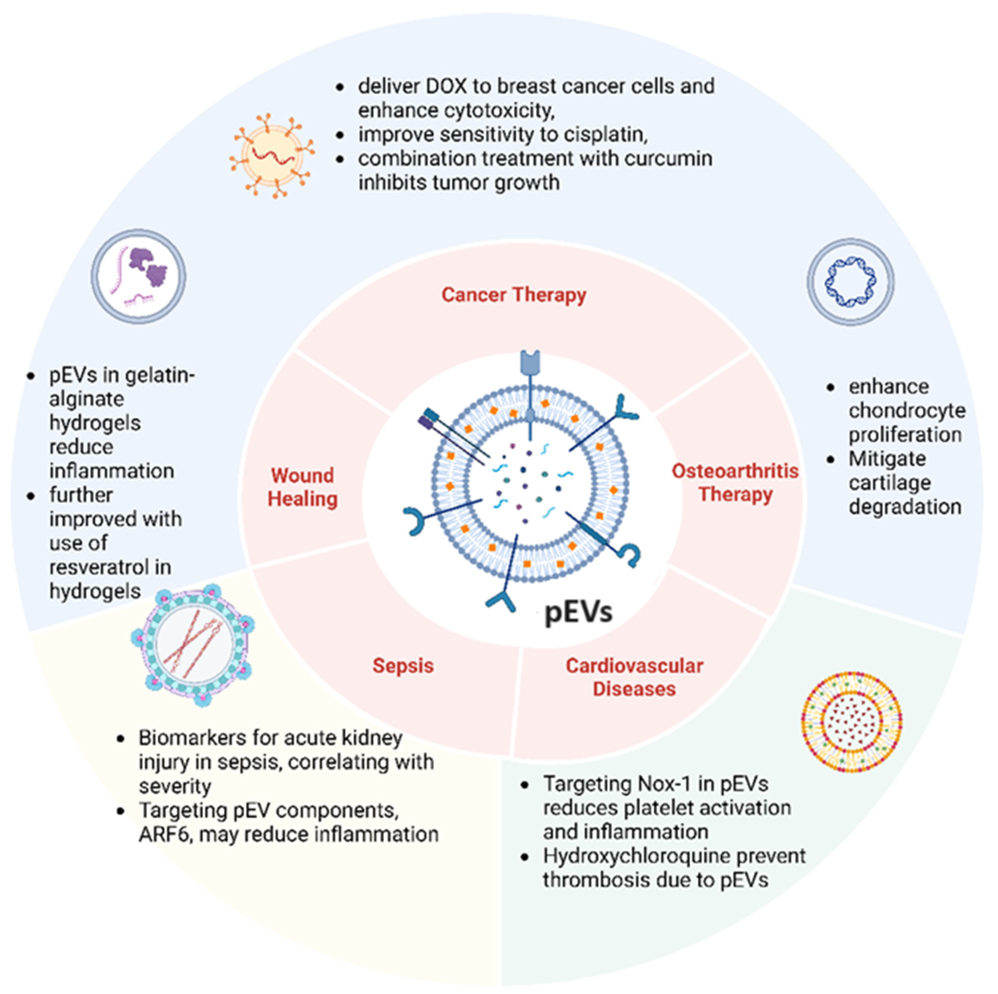 Biomedicines 12 01850 g003