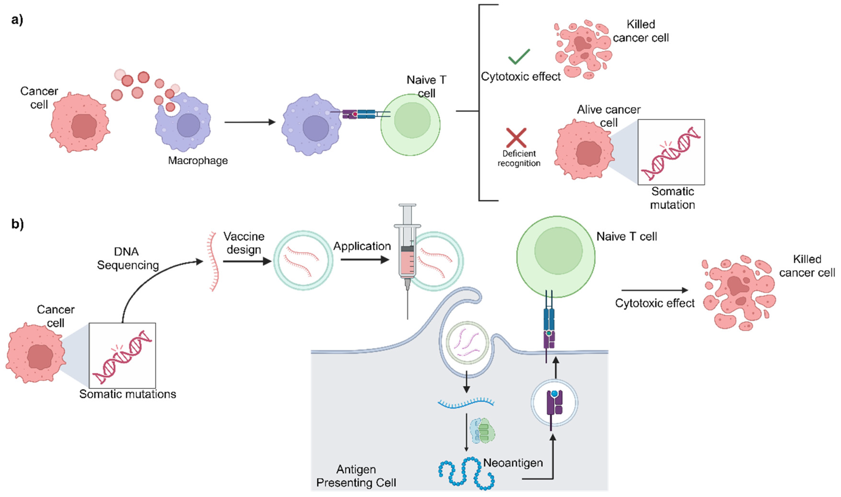 Biomedicines 12 01851 g004