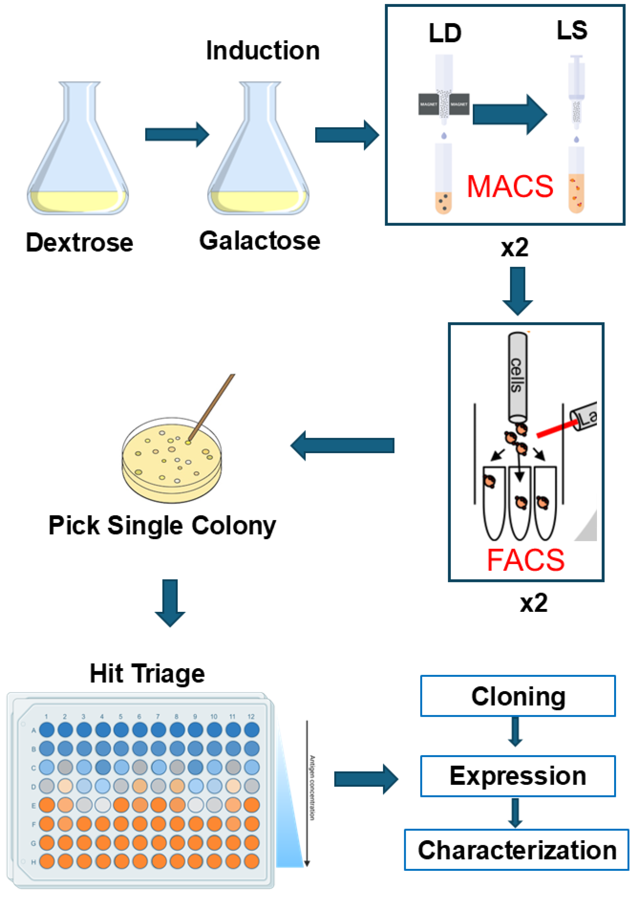 Biomedicines 12 01863 g001
