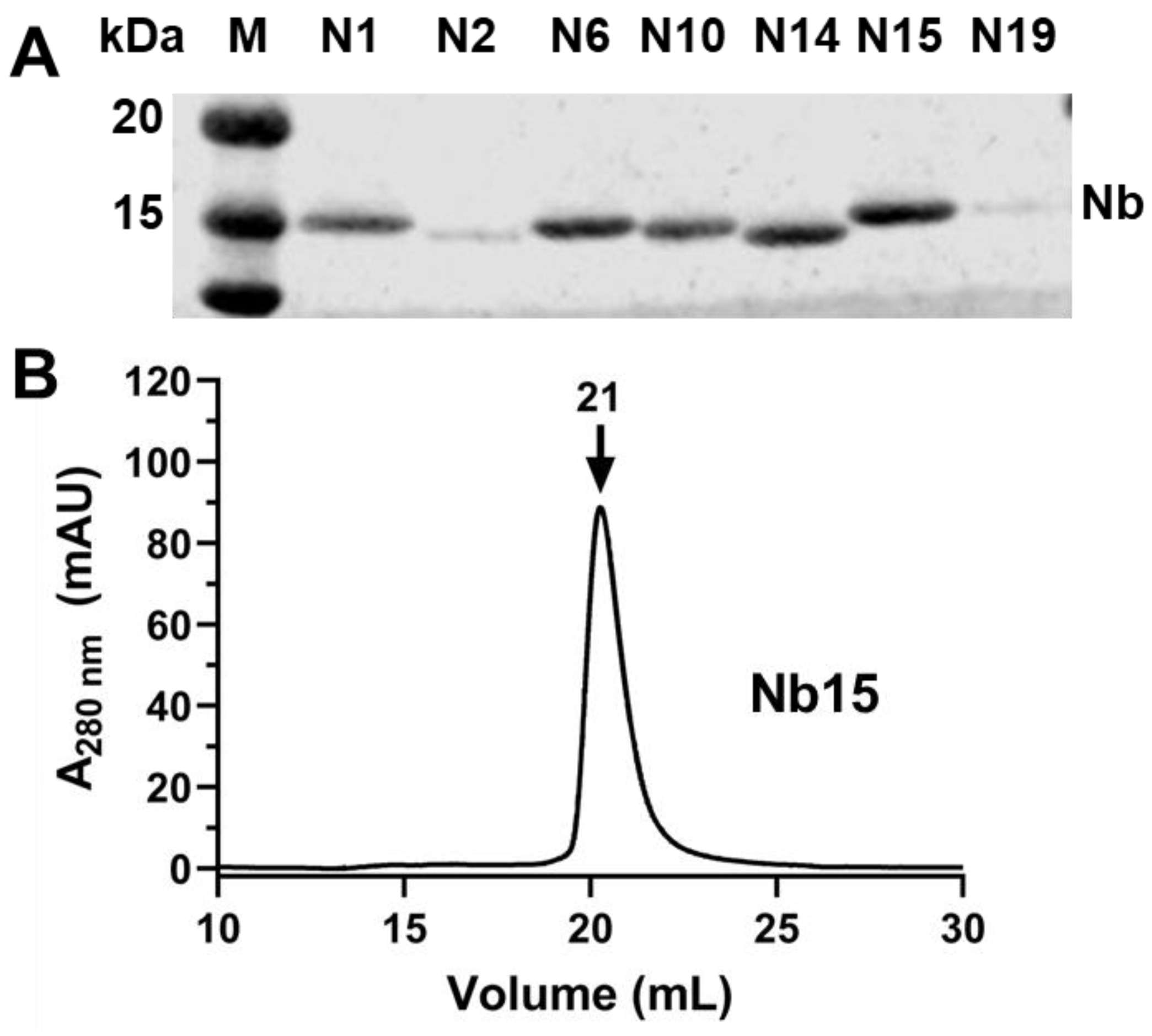 Biomedicines 12 01863 g005