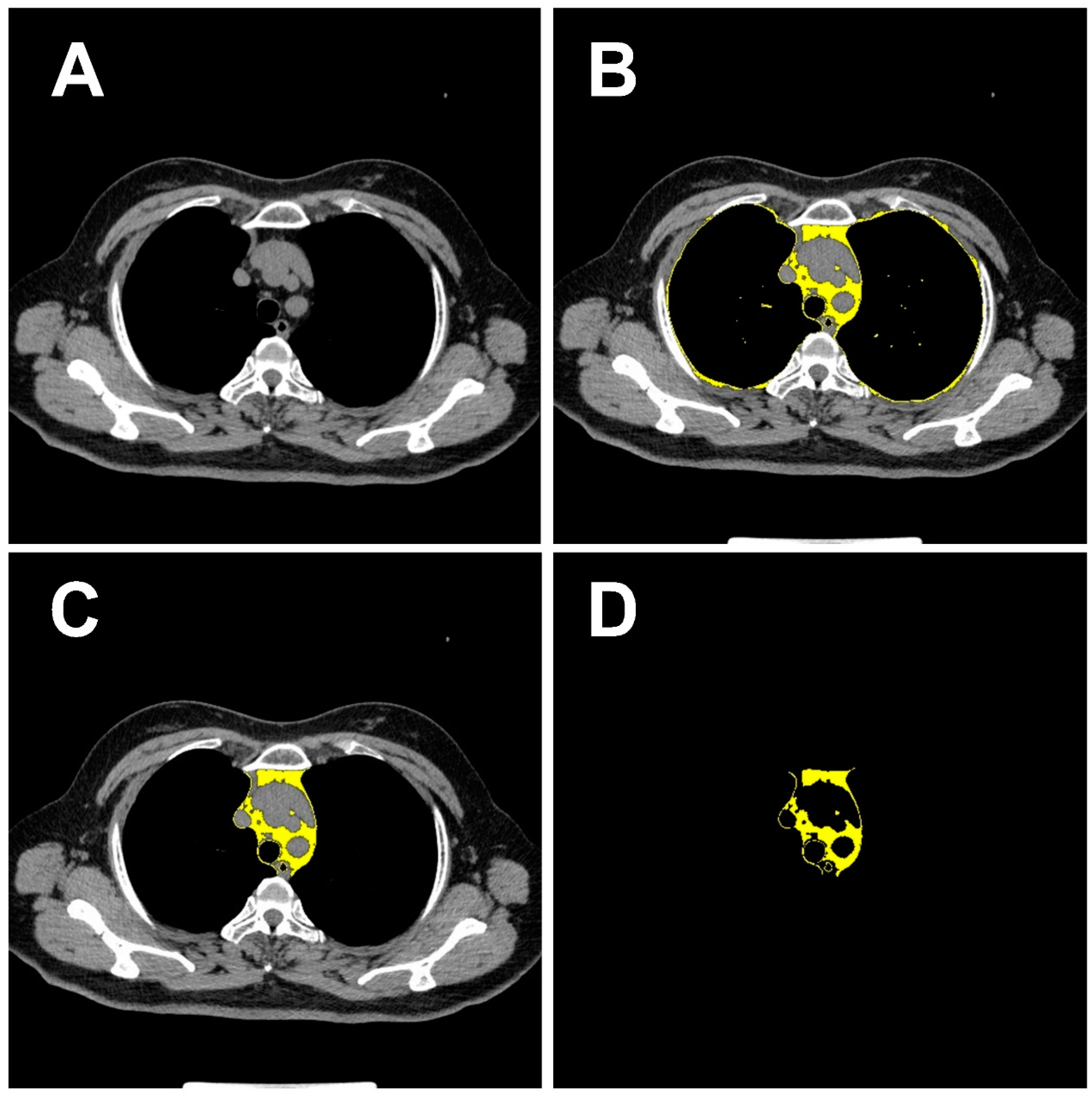 Biomedicines 12 01865 g002