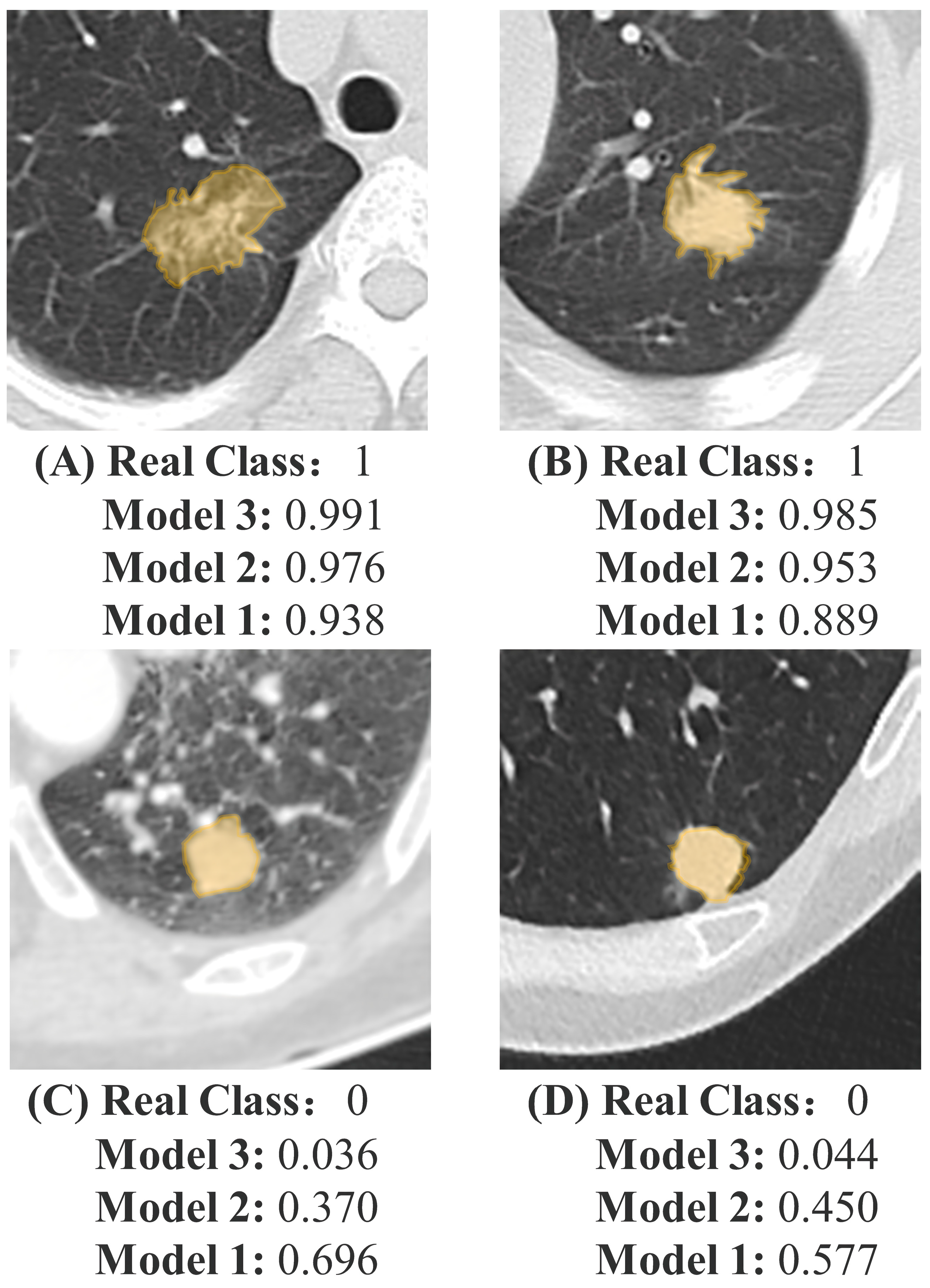 Biomedicines 12 01865 g006