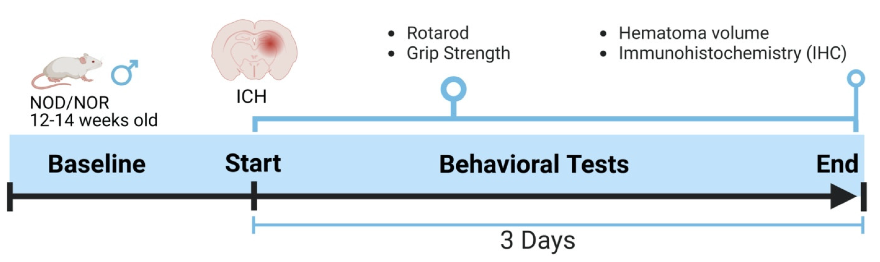 Biomedicines 12 01867 g001