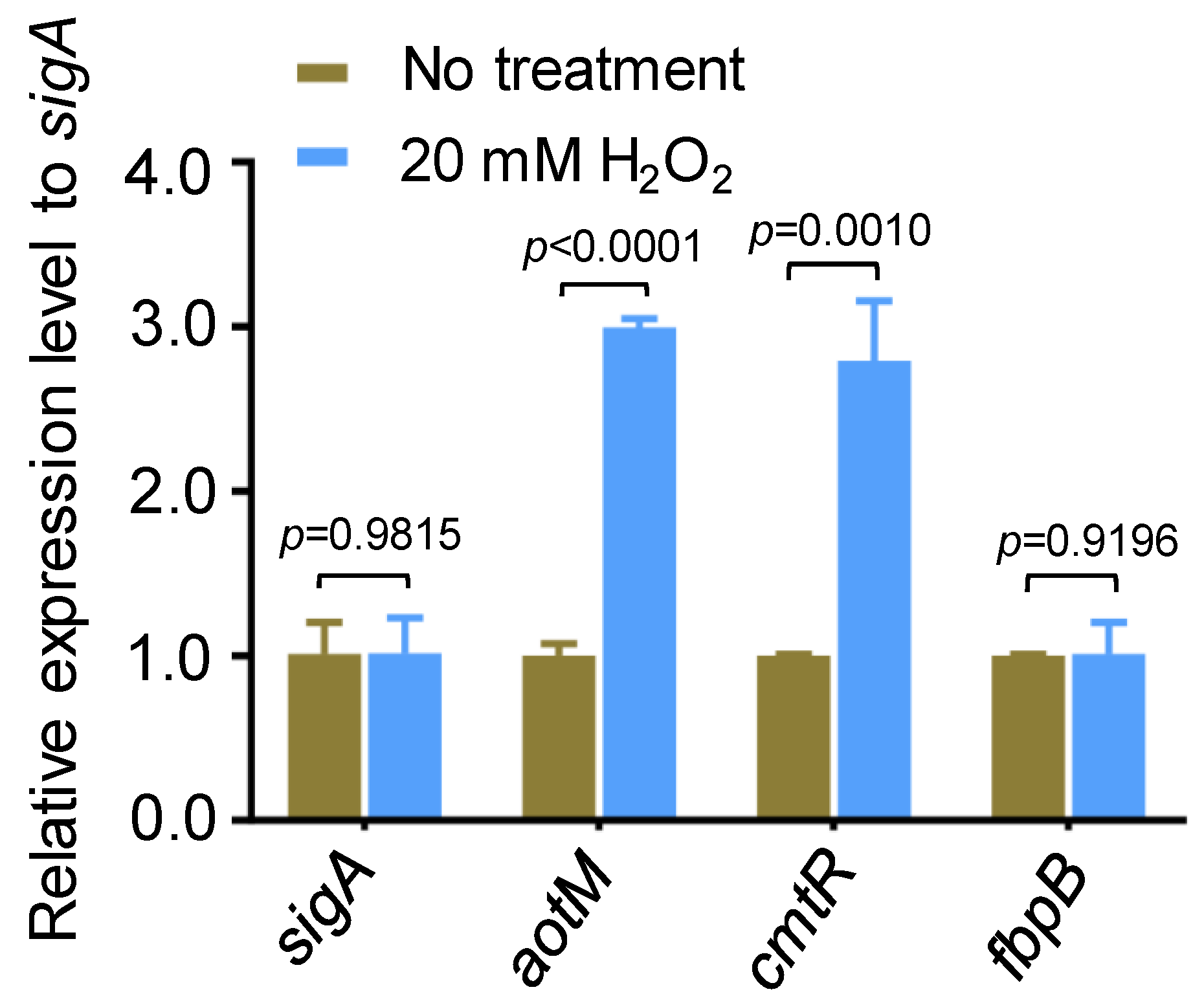 Biomedicines 12 01872 g001