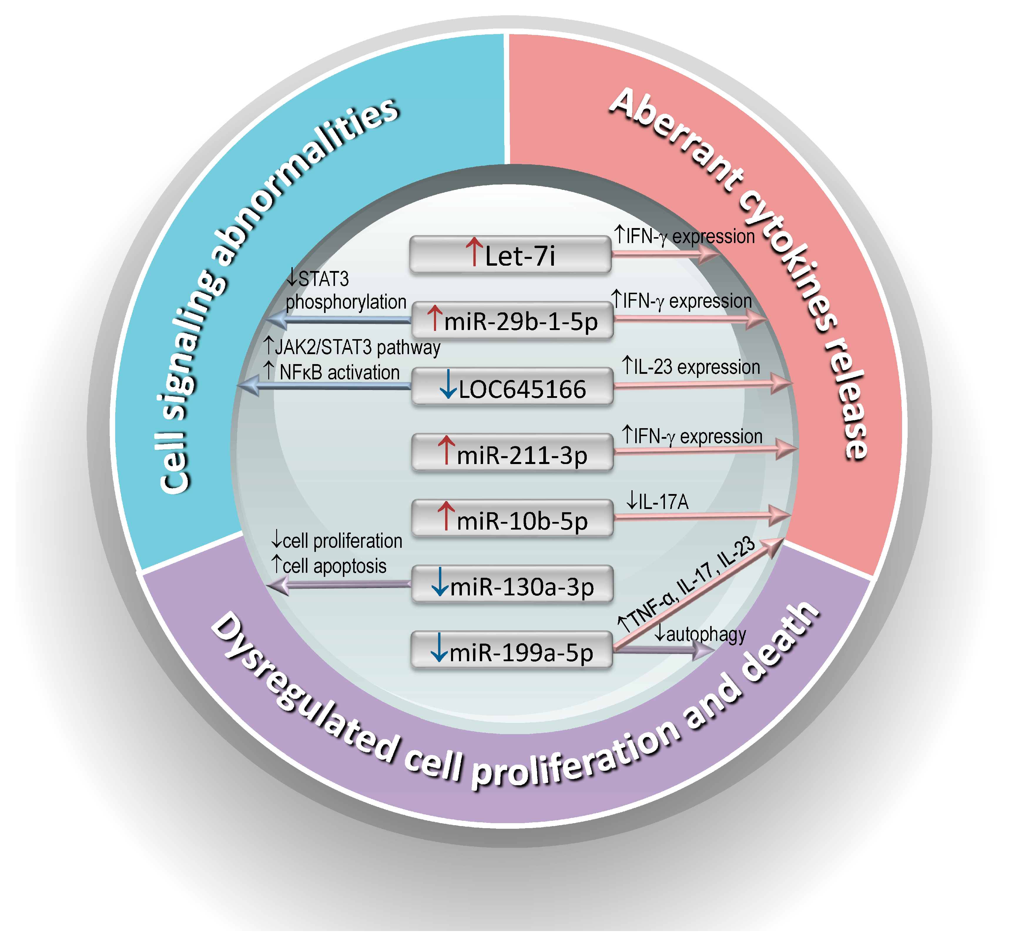 Biomedicines 12 01873 g001
