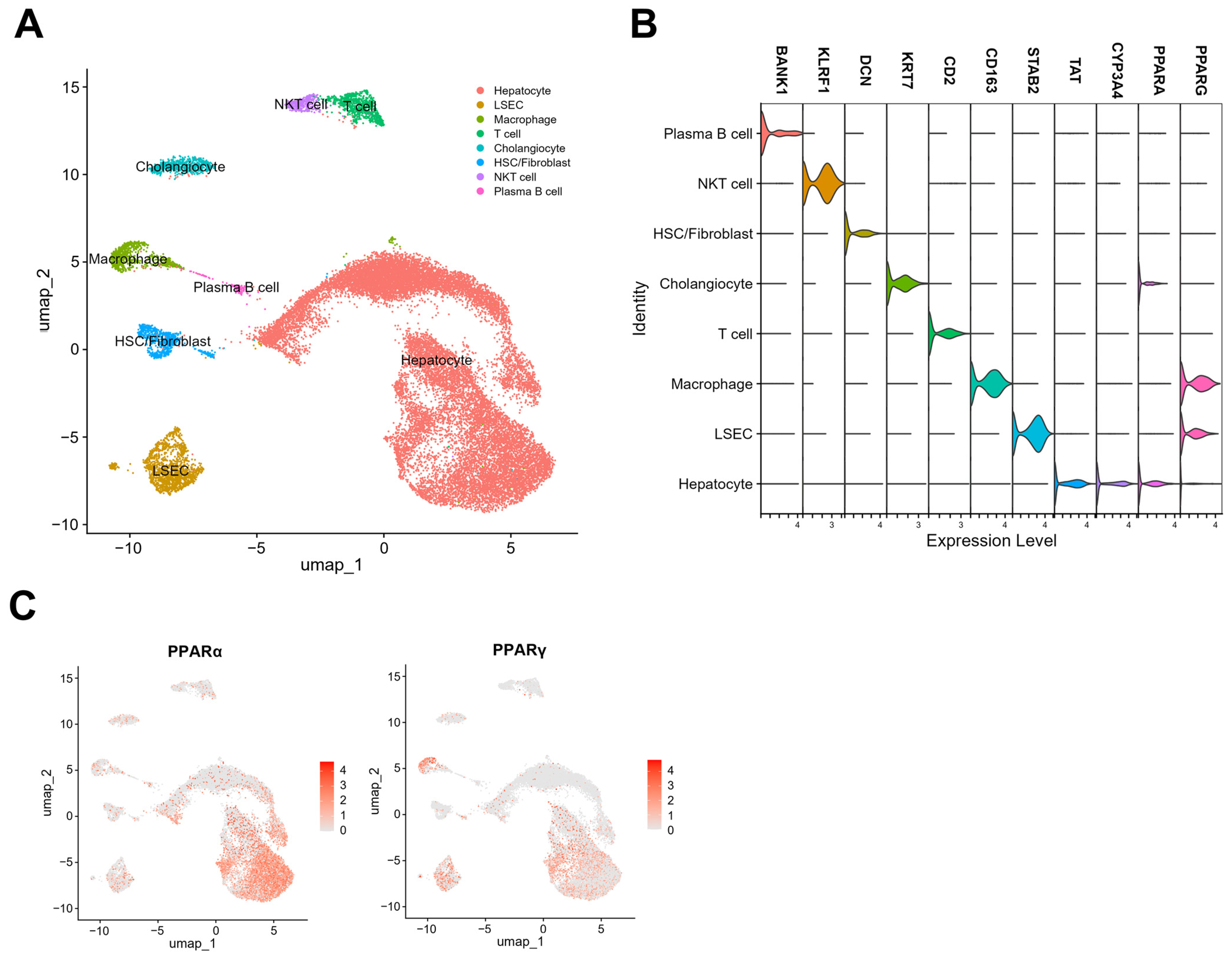 Biomedicines 12 01876 g002 Biomedicines 12 01876 g002