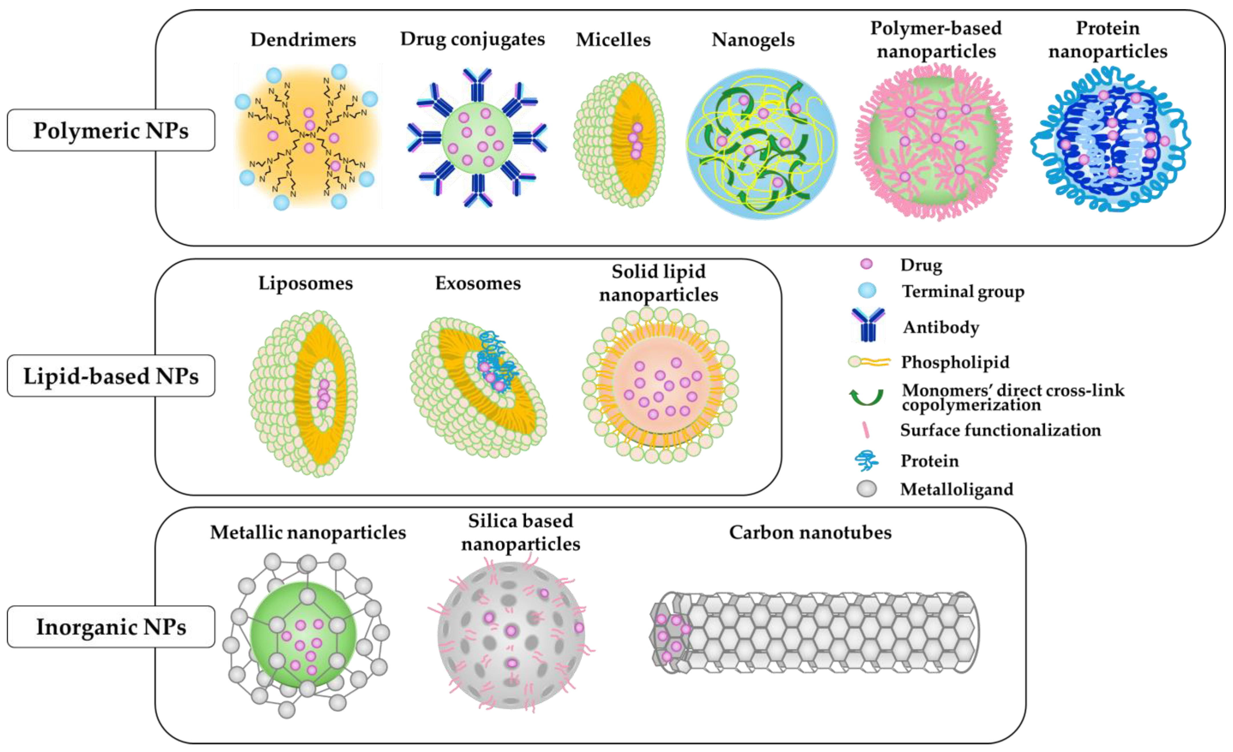 Biomedicines 12 01876 g003 Biomedicines 12 01876 g003