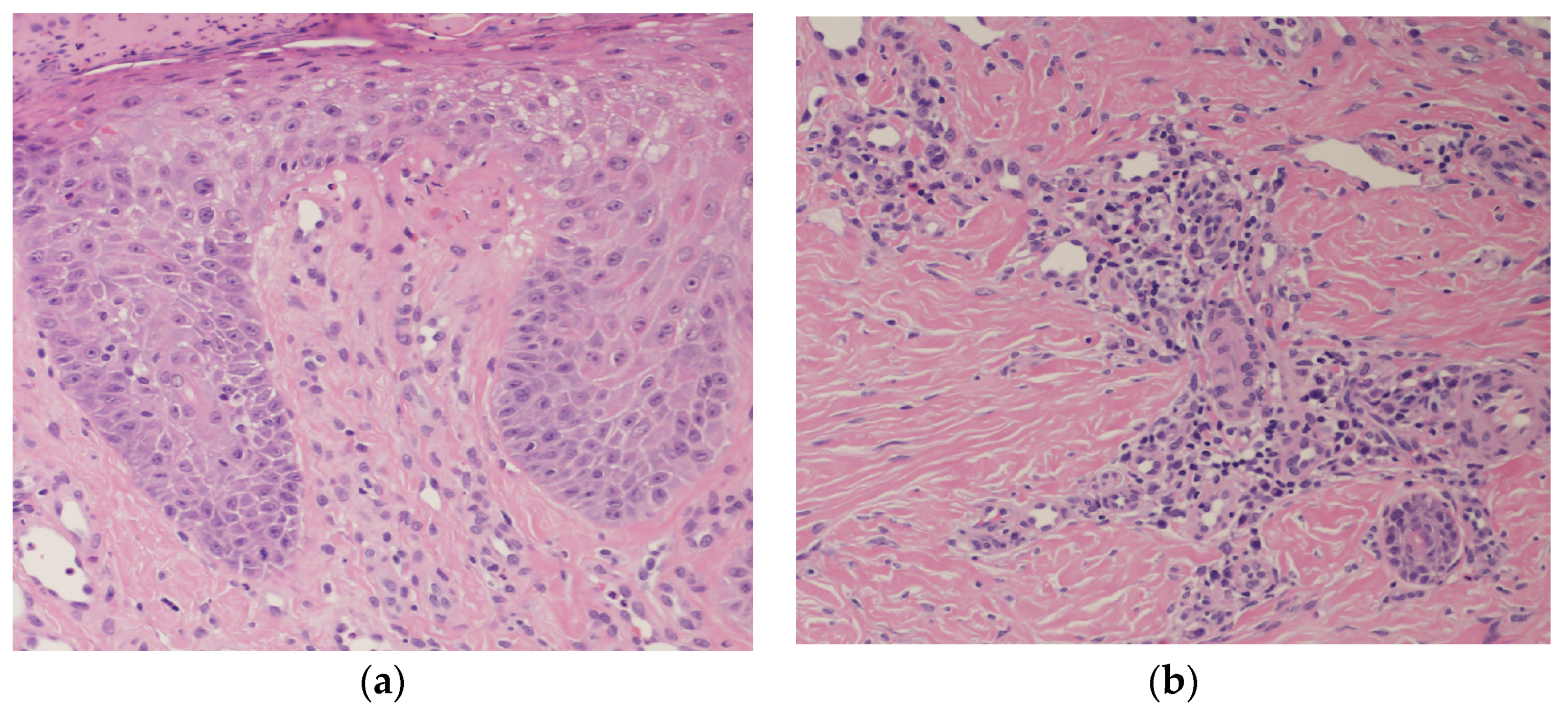 Biomedicines 12 01886 g003 Biomedicines 12 01886 g003