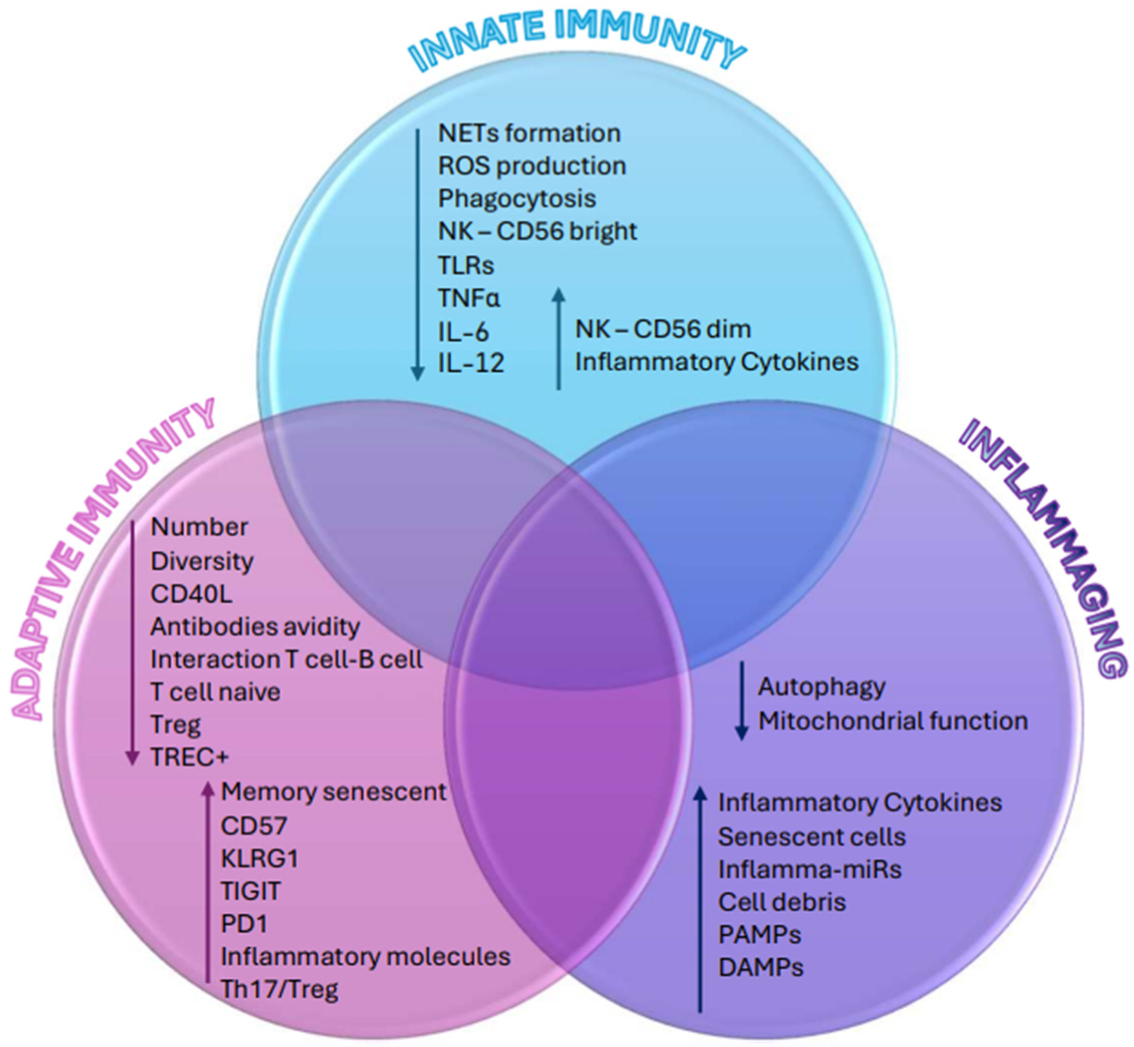 Biomedicines 12 01890 g001