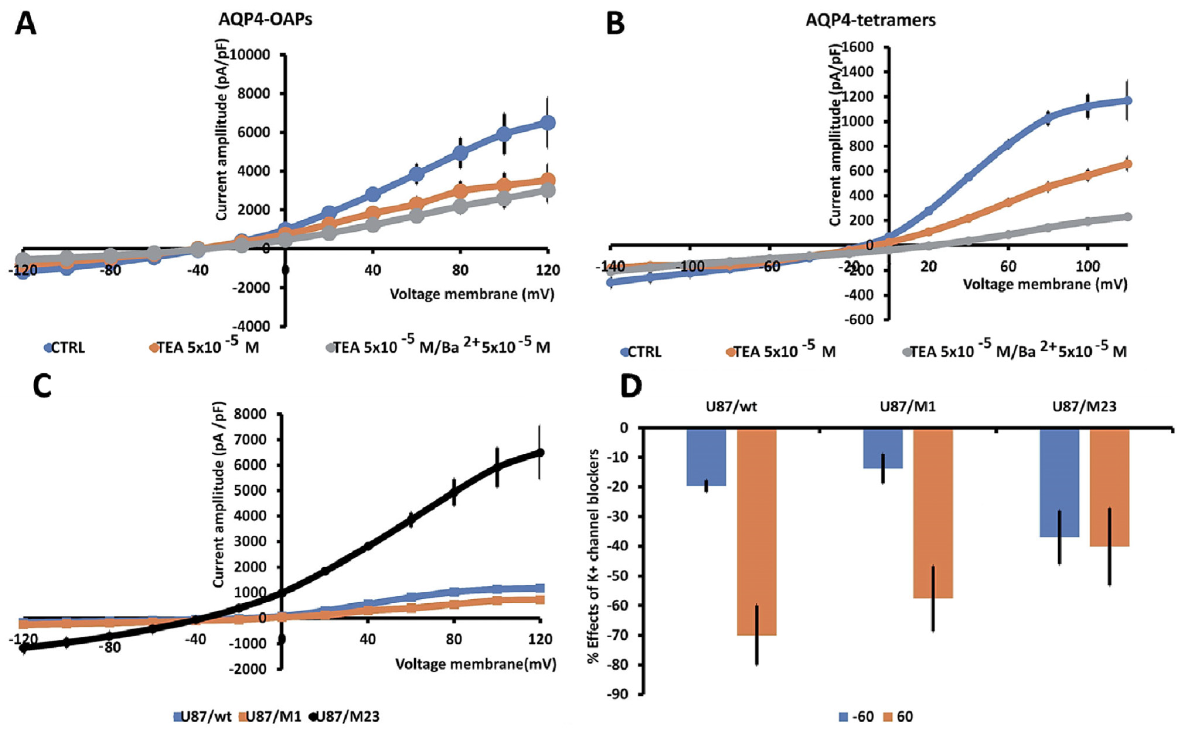 Biomedicines 12 01891 g004 Biomedicines 12 01891 g004