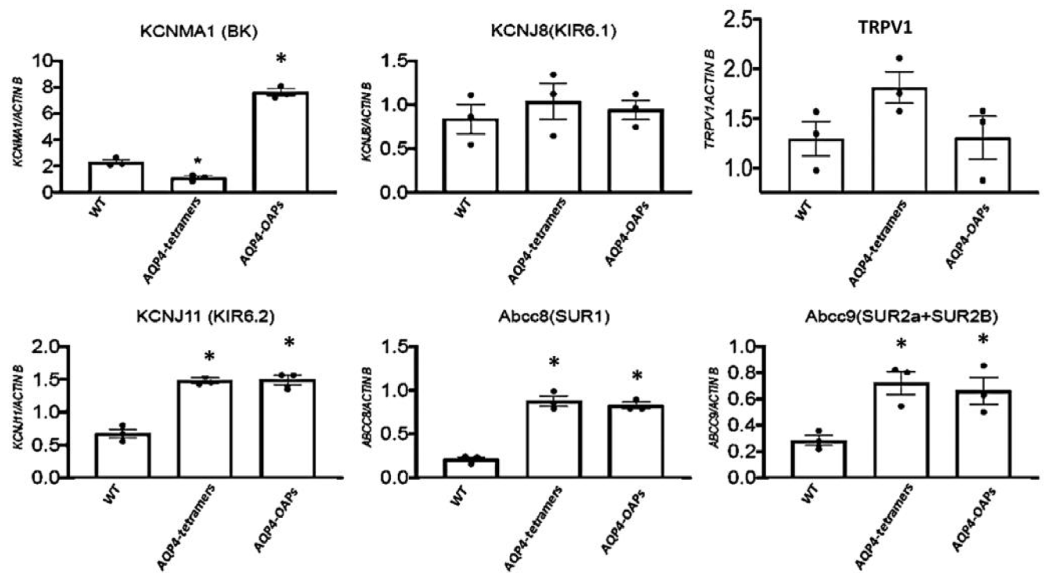 Biomedicines 12 01891 g005 Biomedicines 12 01891 g005