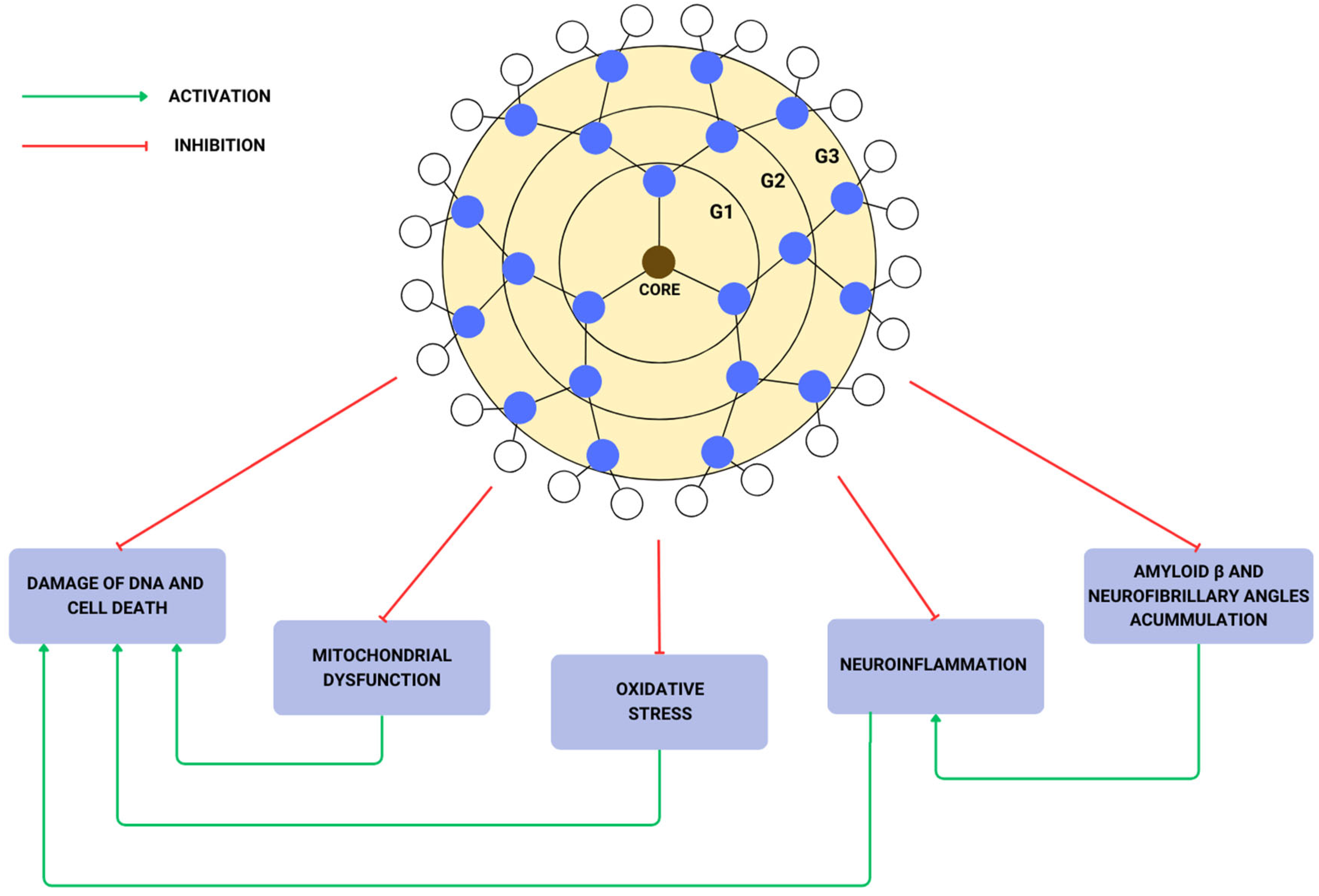 Biomedicines 12 01899 g003