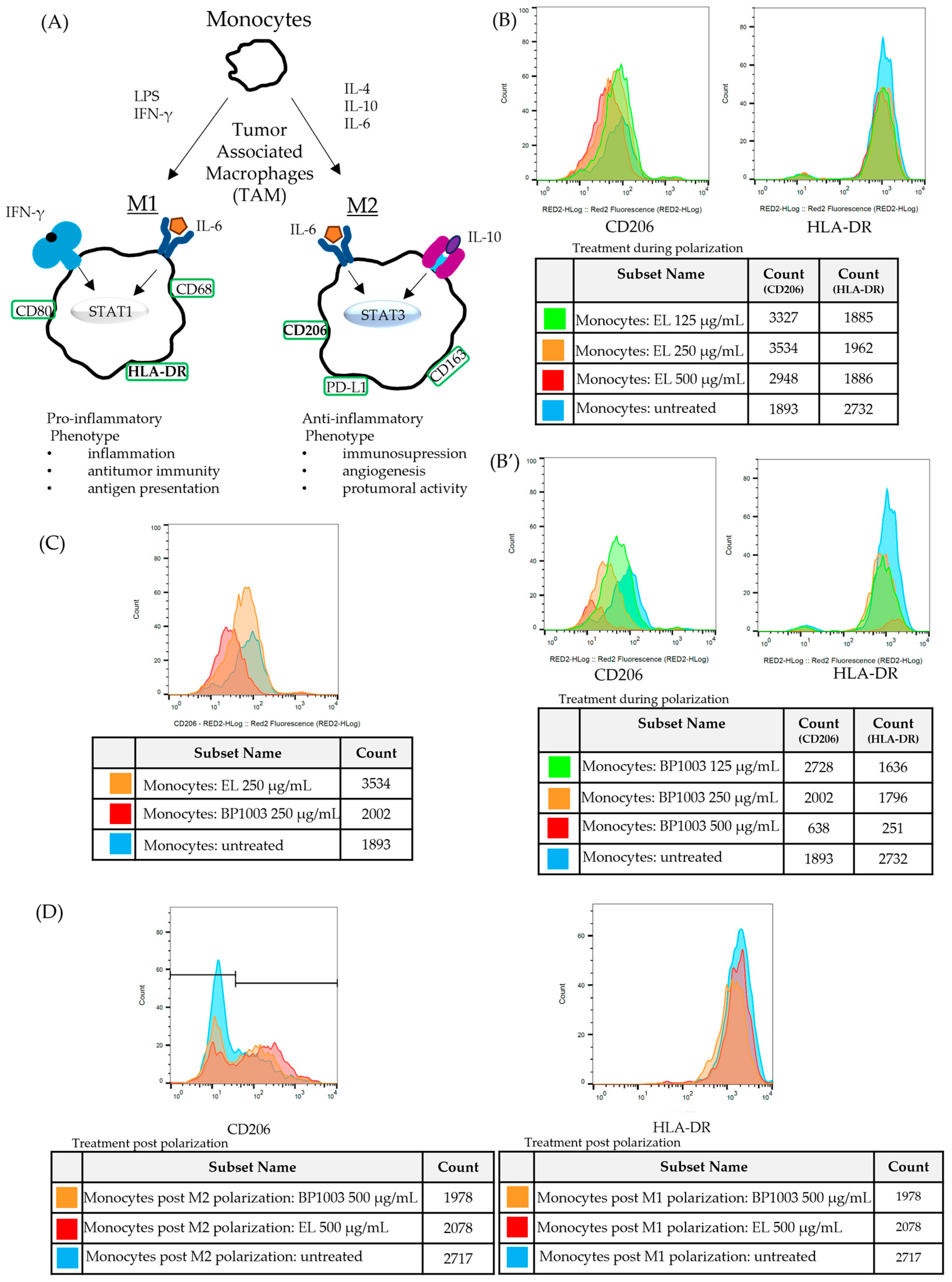 Biomedicines 12 01901 g006 Biomedicines 12 01901 g006
