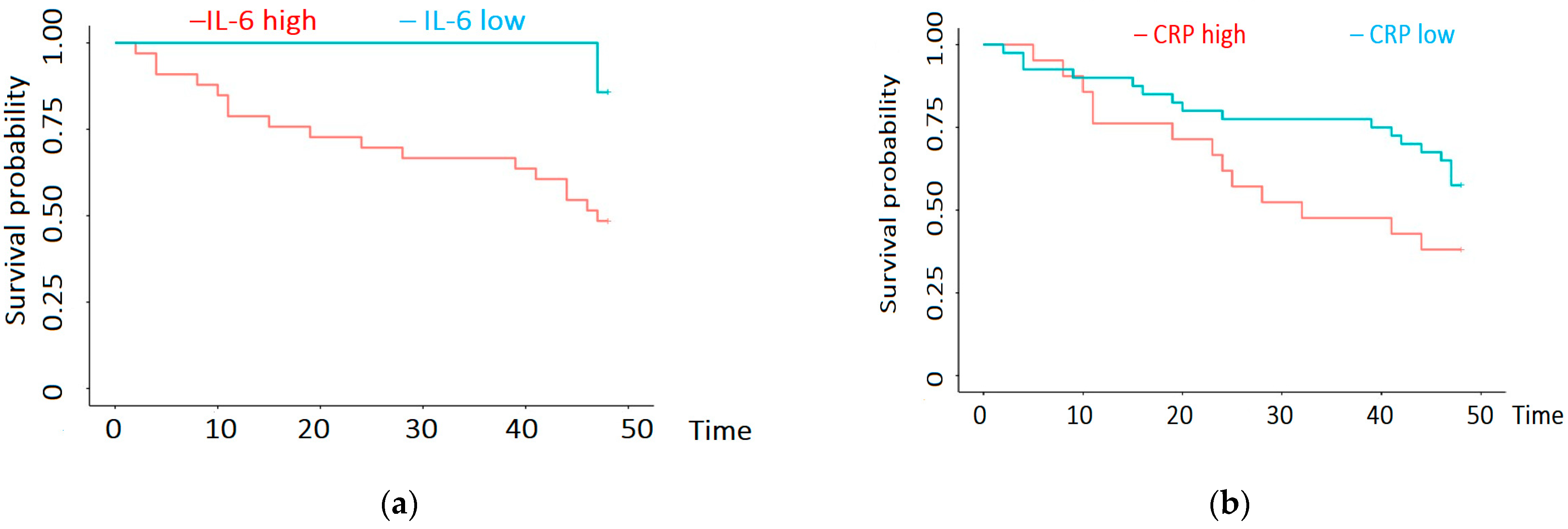 Biomedicines 12 01903 g004