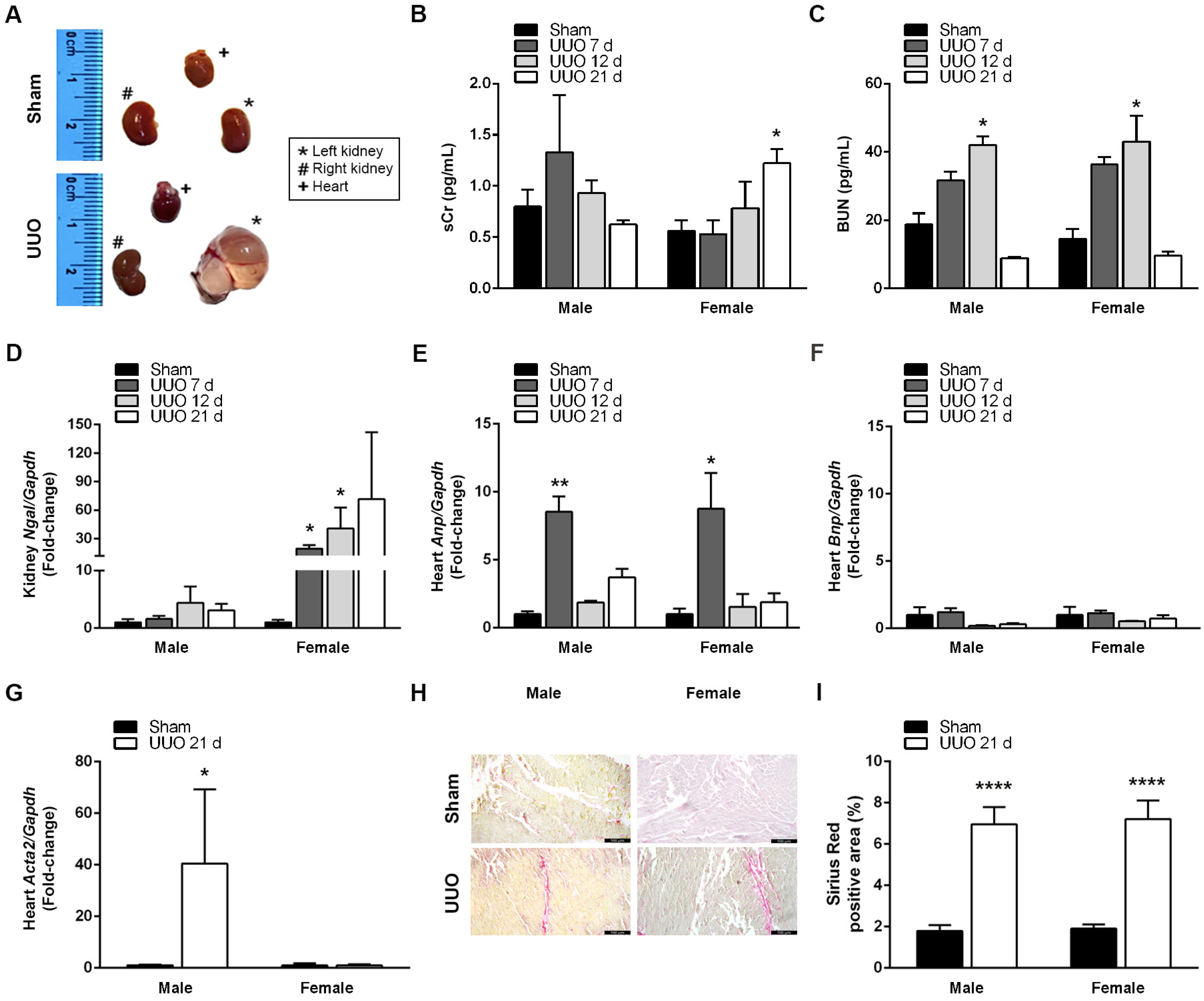 Biomedicines 12 01908 g002