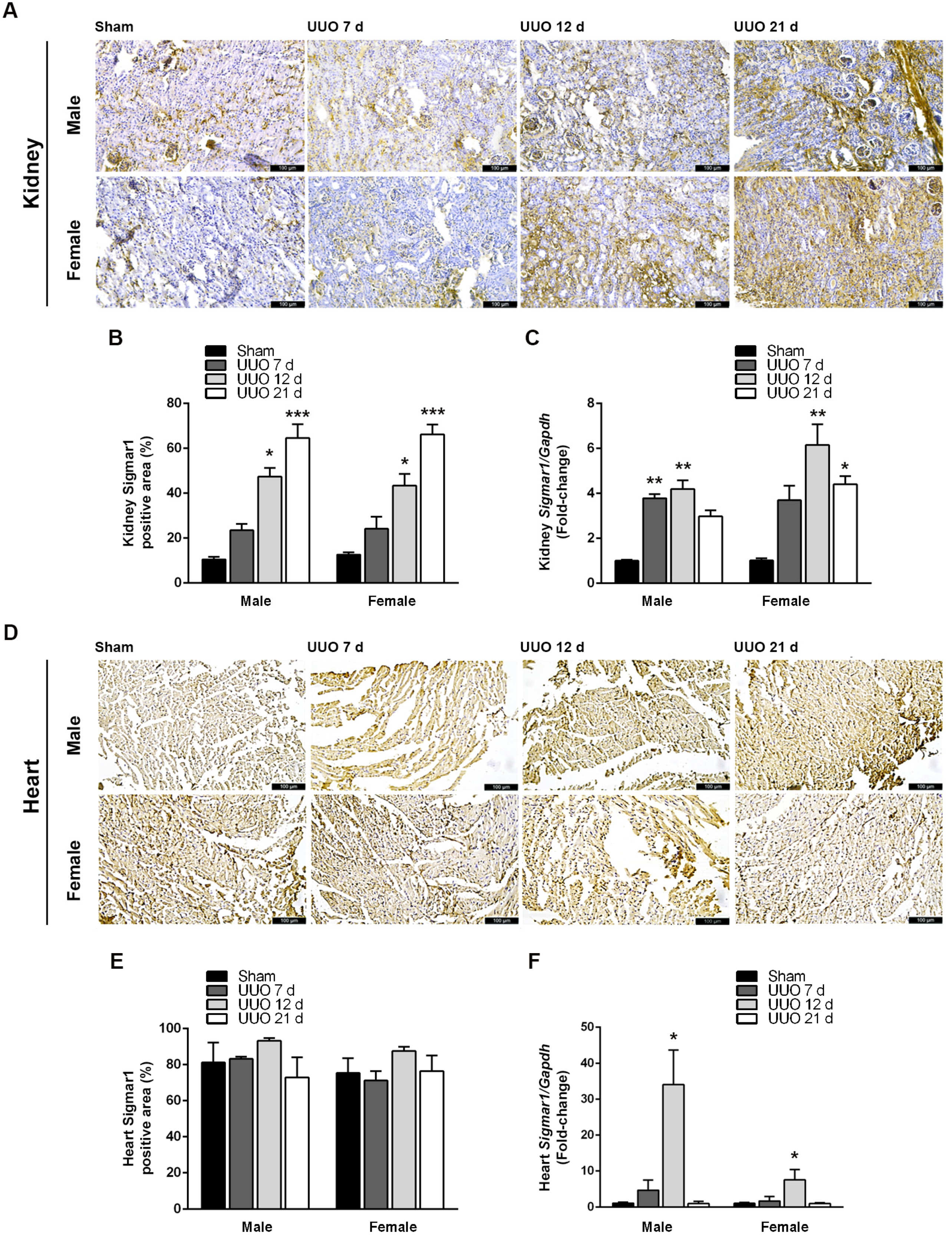Biomedicines 12 01908 g003