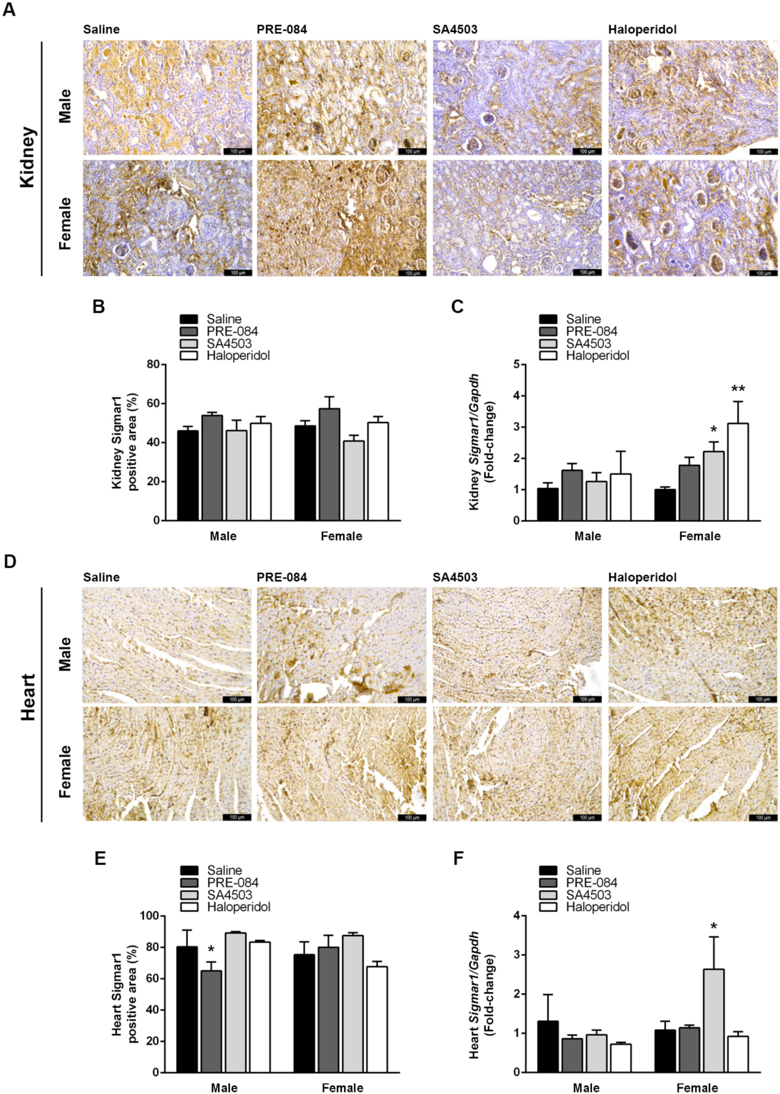 Biomedicines 12 01908 g006