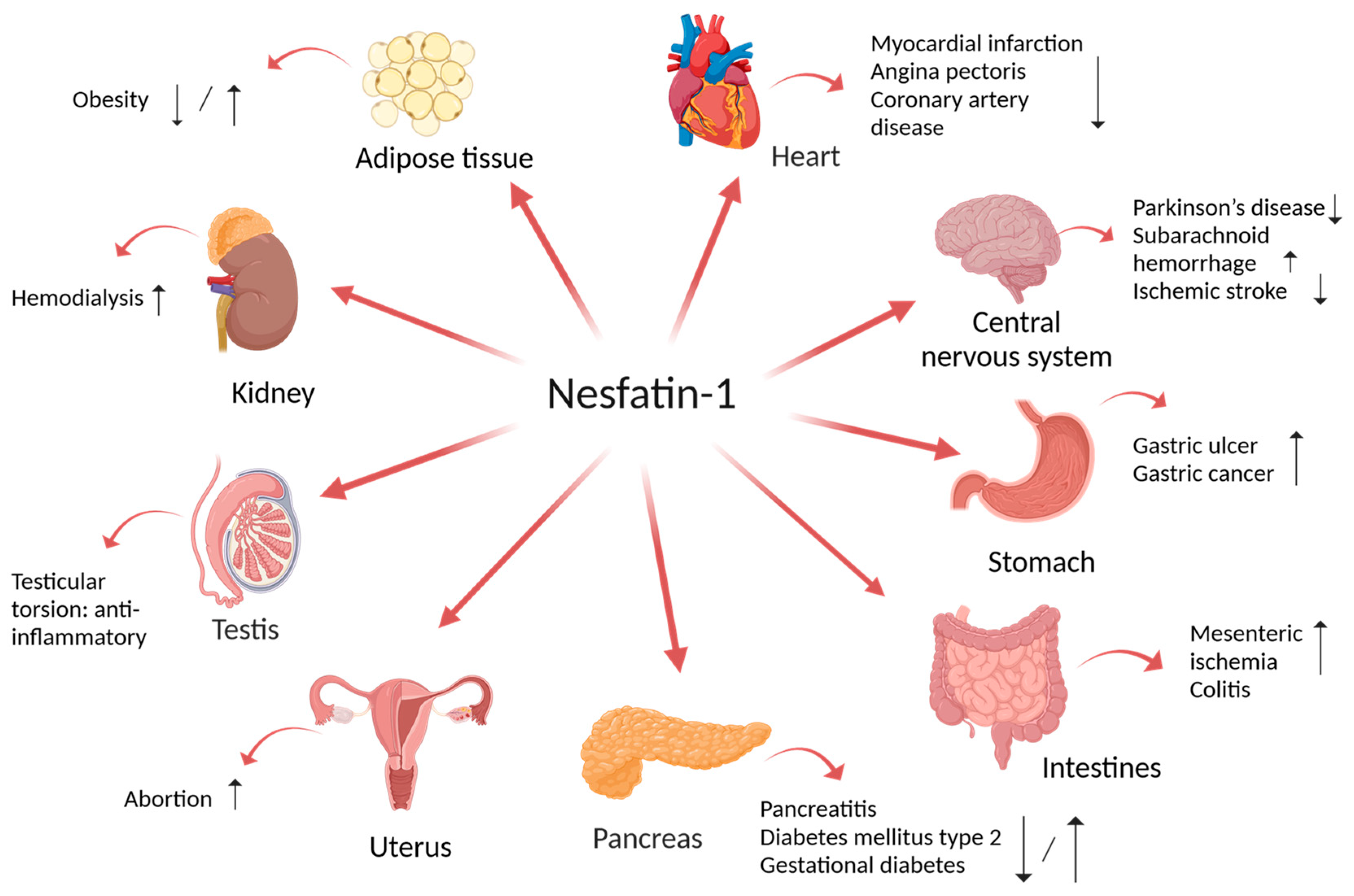 Biomedicines 12 01913 g001 Biomedicines 12 01913 g001