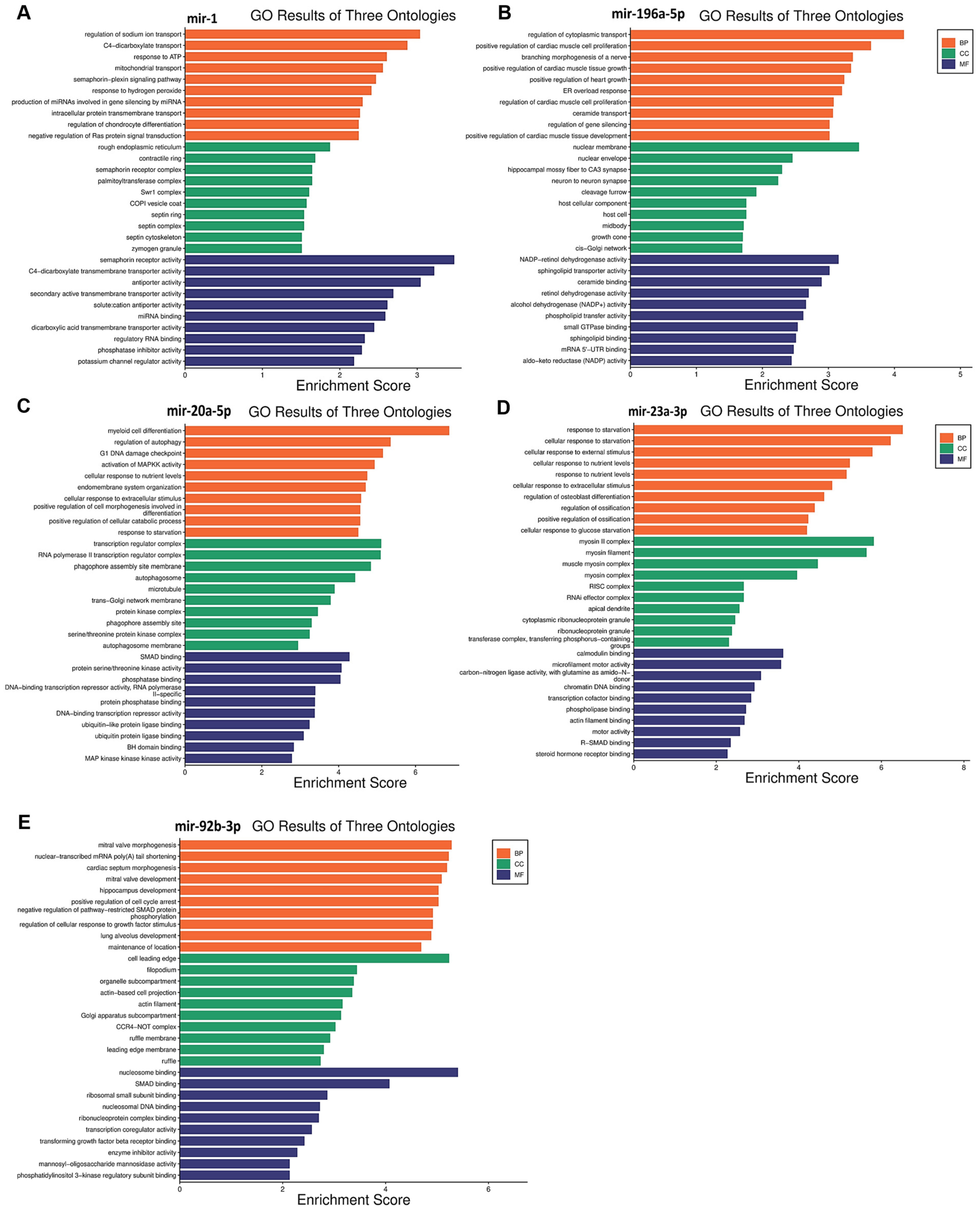 Biomedicines 12 01924 g003