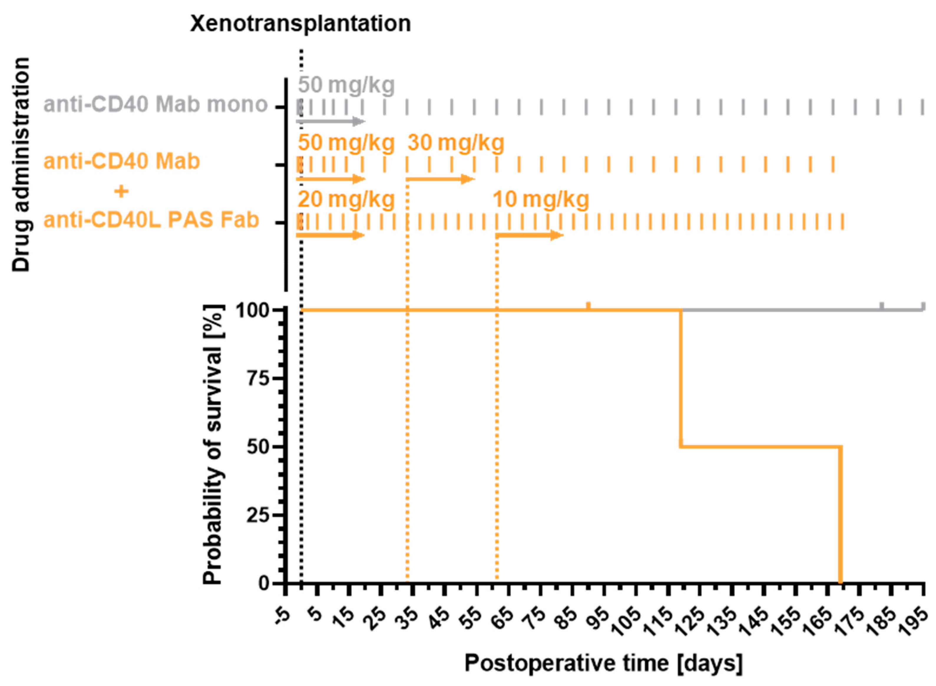 Biomedicines 12 01927 g001 Biomedicines 12 01927 g001