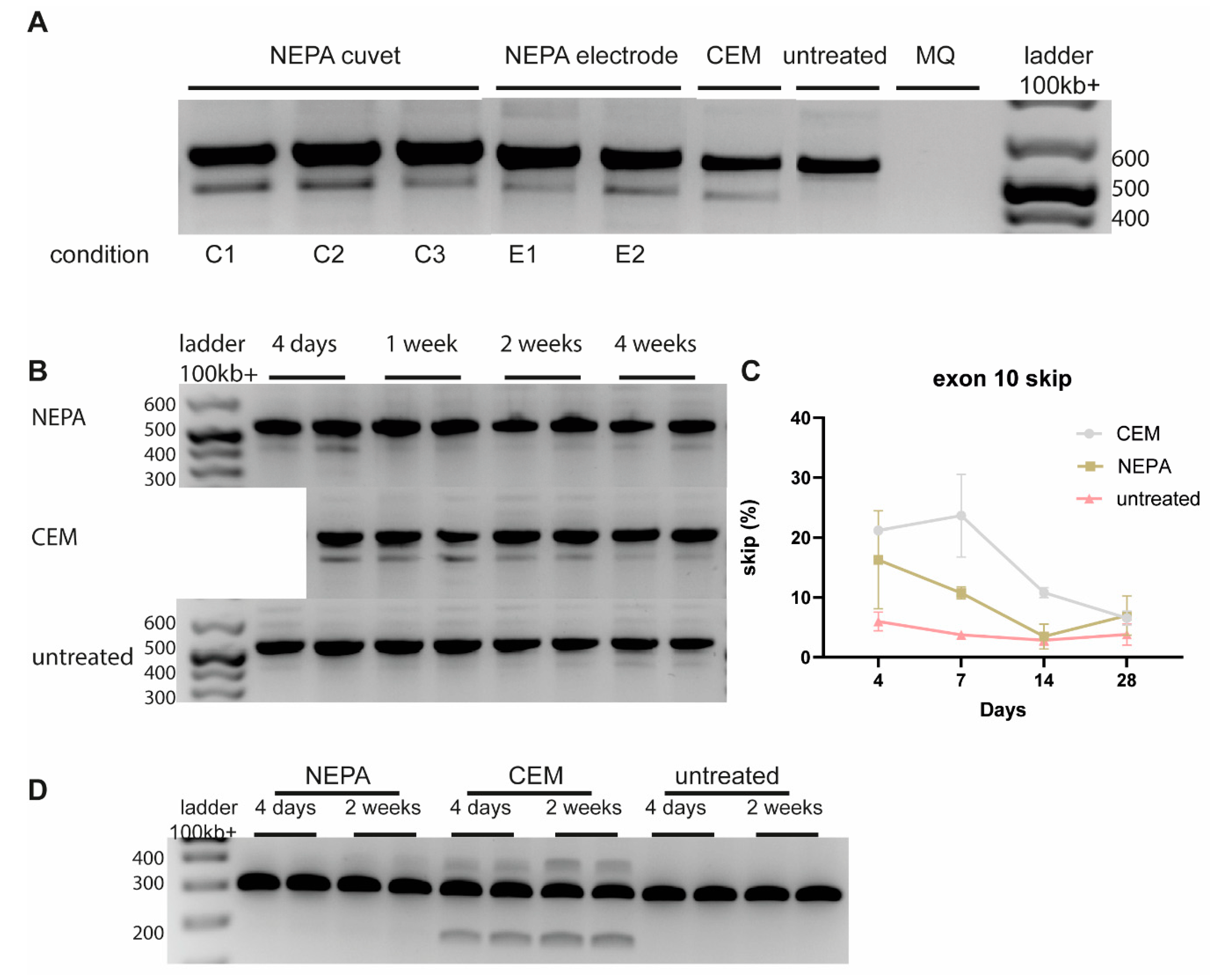 Biomedicines 12 01933 g004