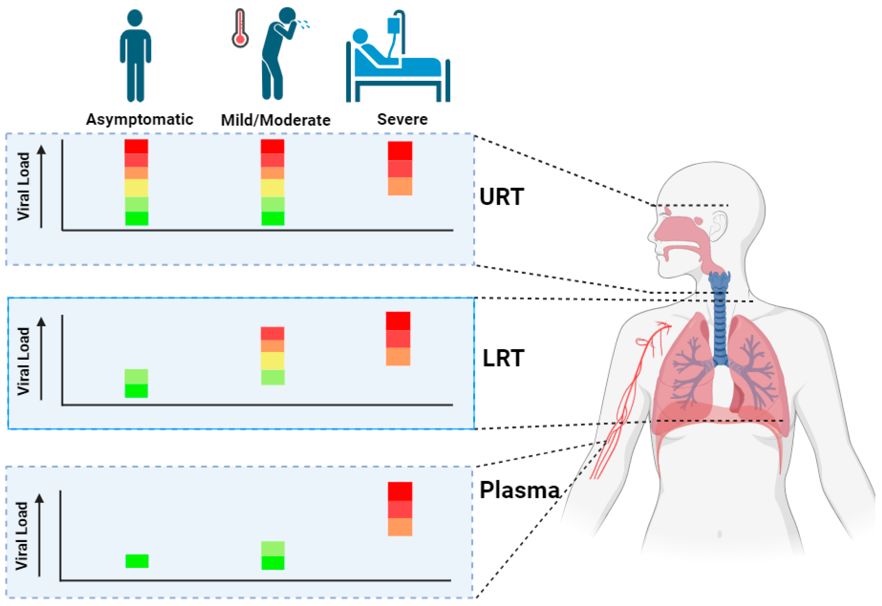 Biomedicines 12 01941 g001