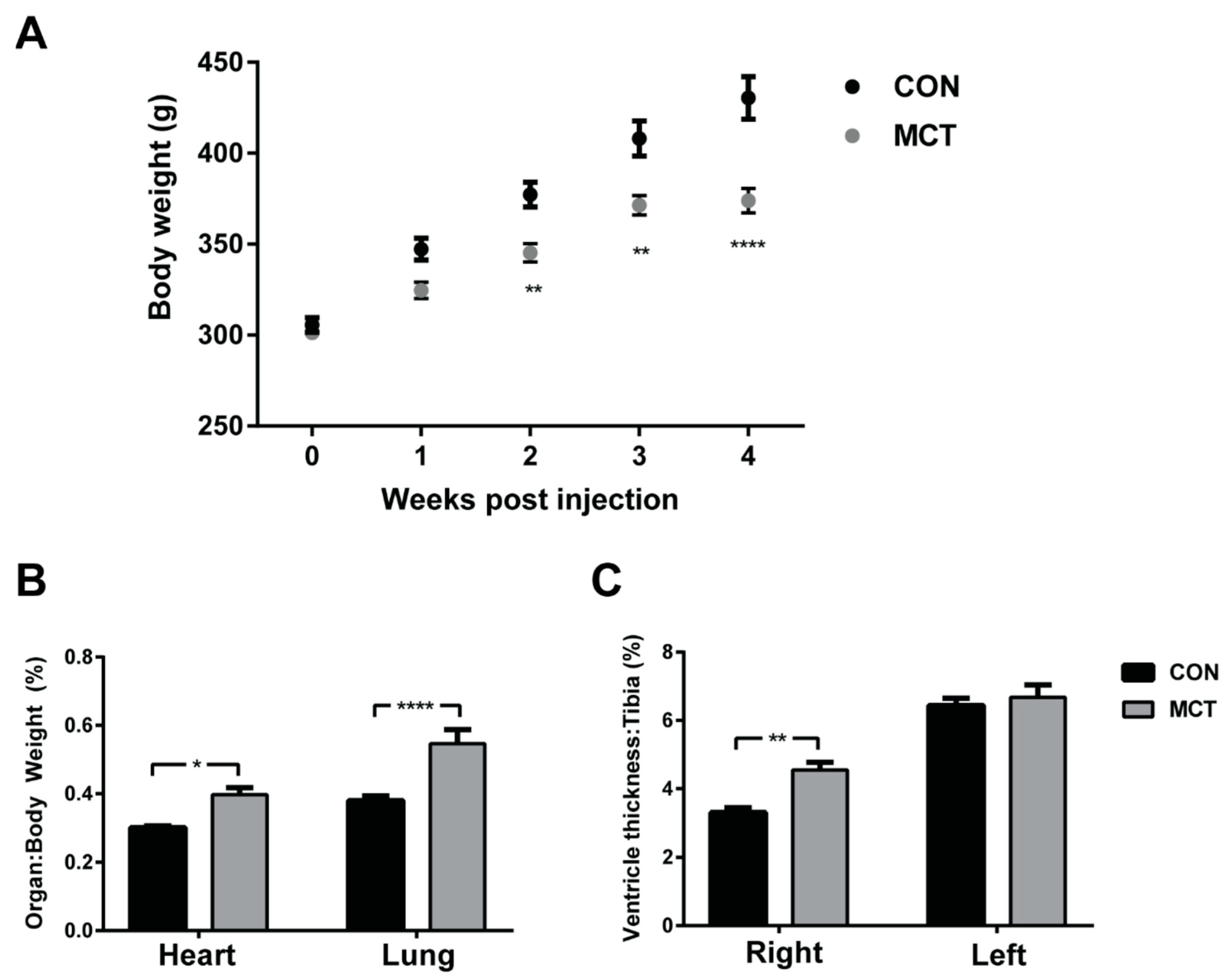 Biomedicines 12 01944 g001 Biomedicines 12 01944 g001