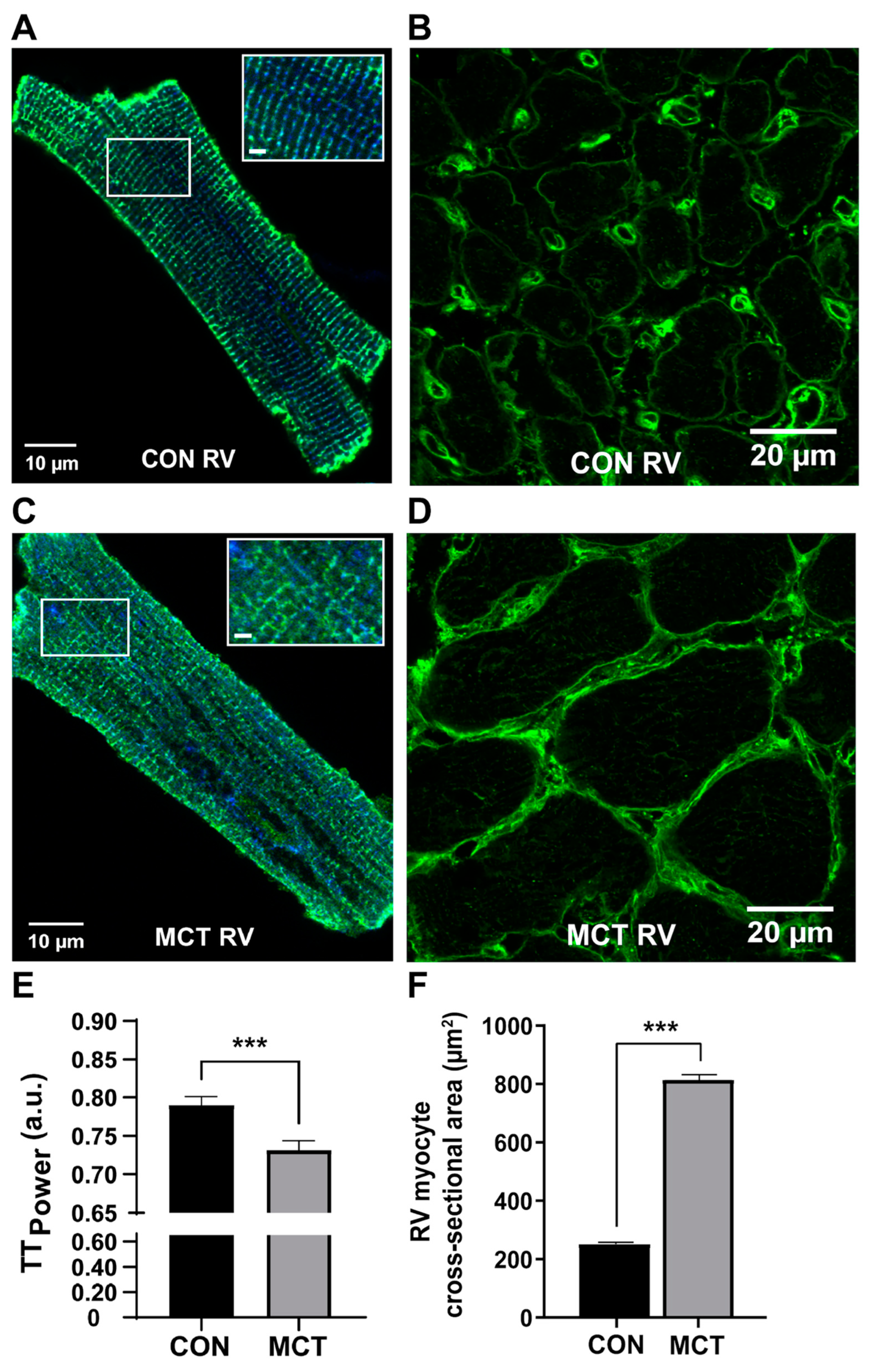 Biomedicines 12 01944 g002 Biomedicines 12 01944 g002
