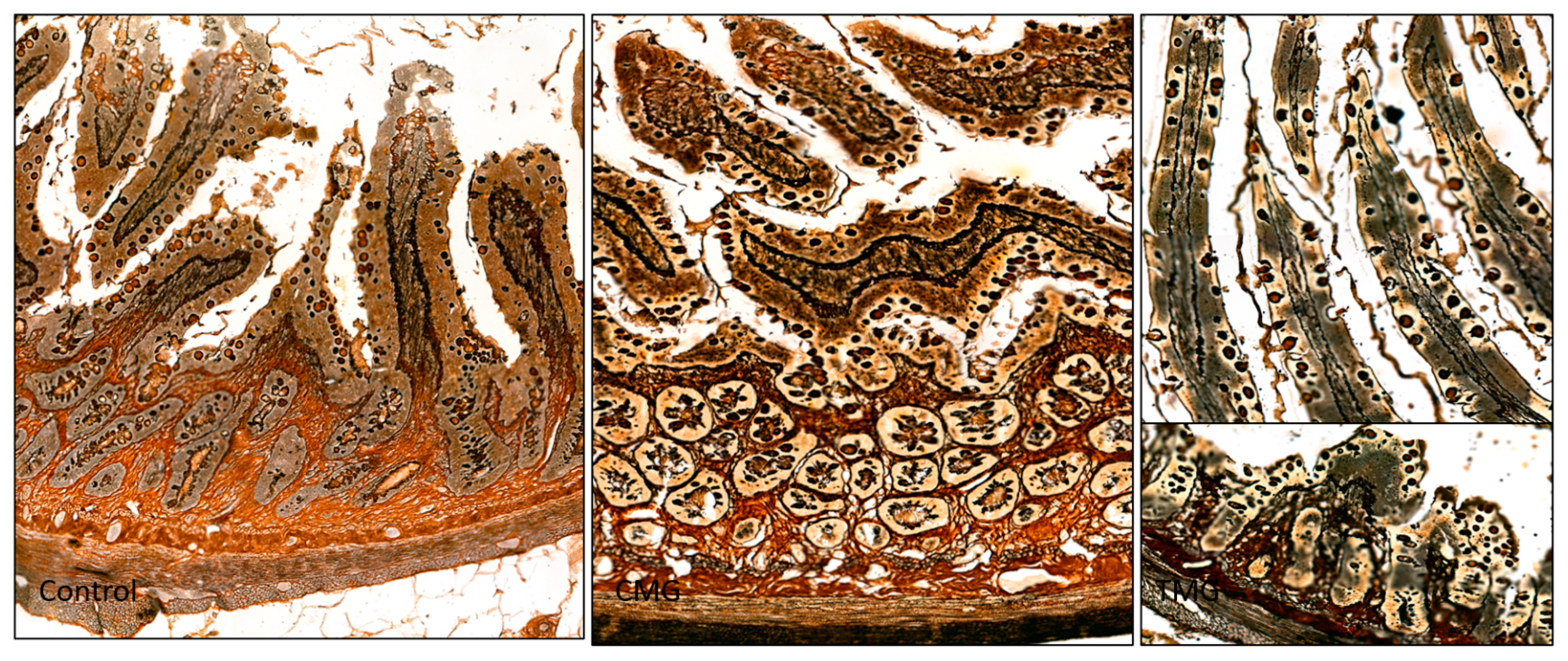 Biomedicines 12 01966 g005