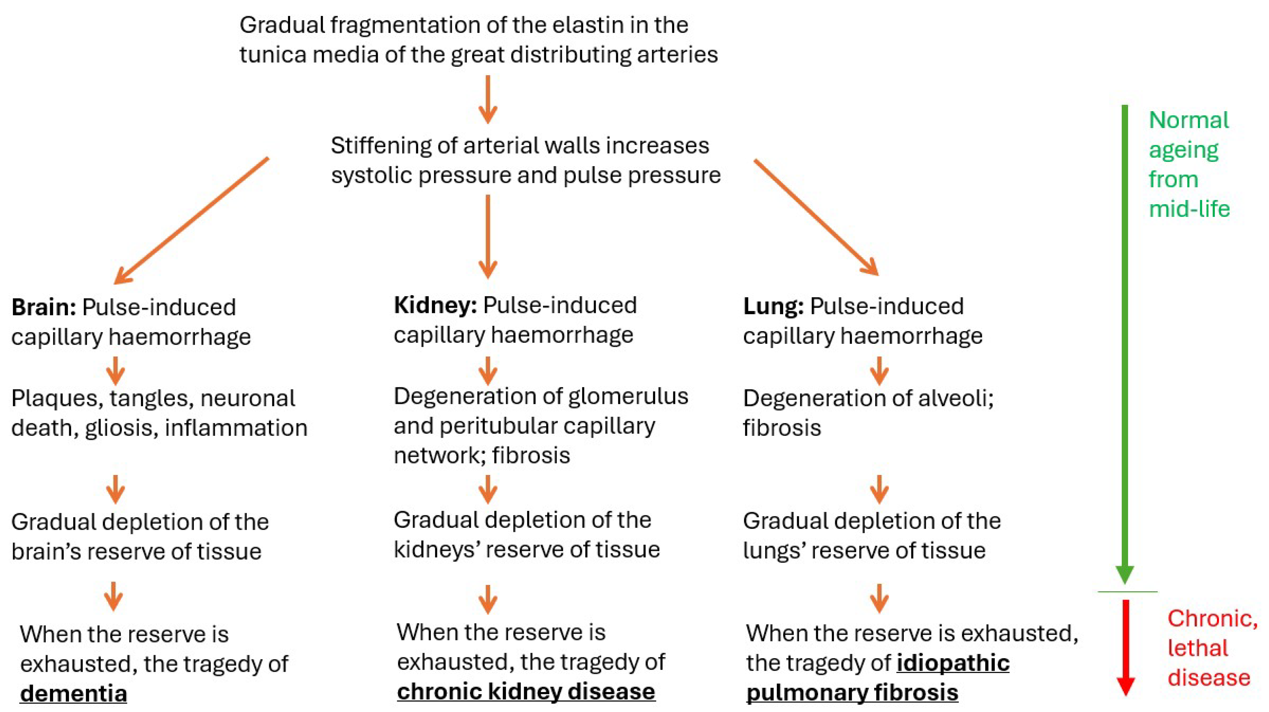 Biomedicines 12 01969 g001