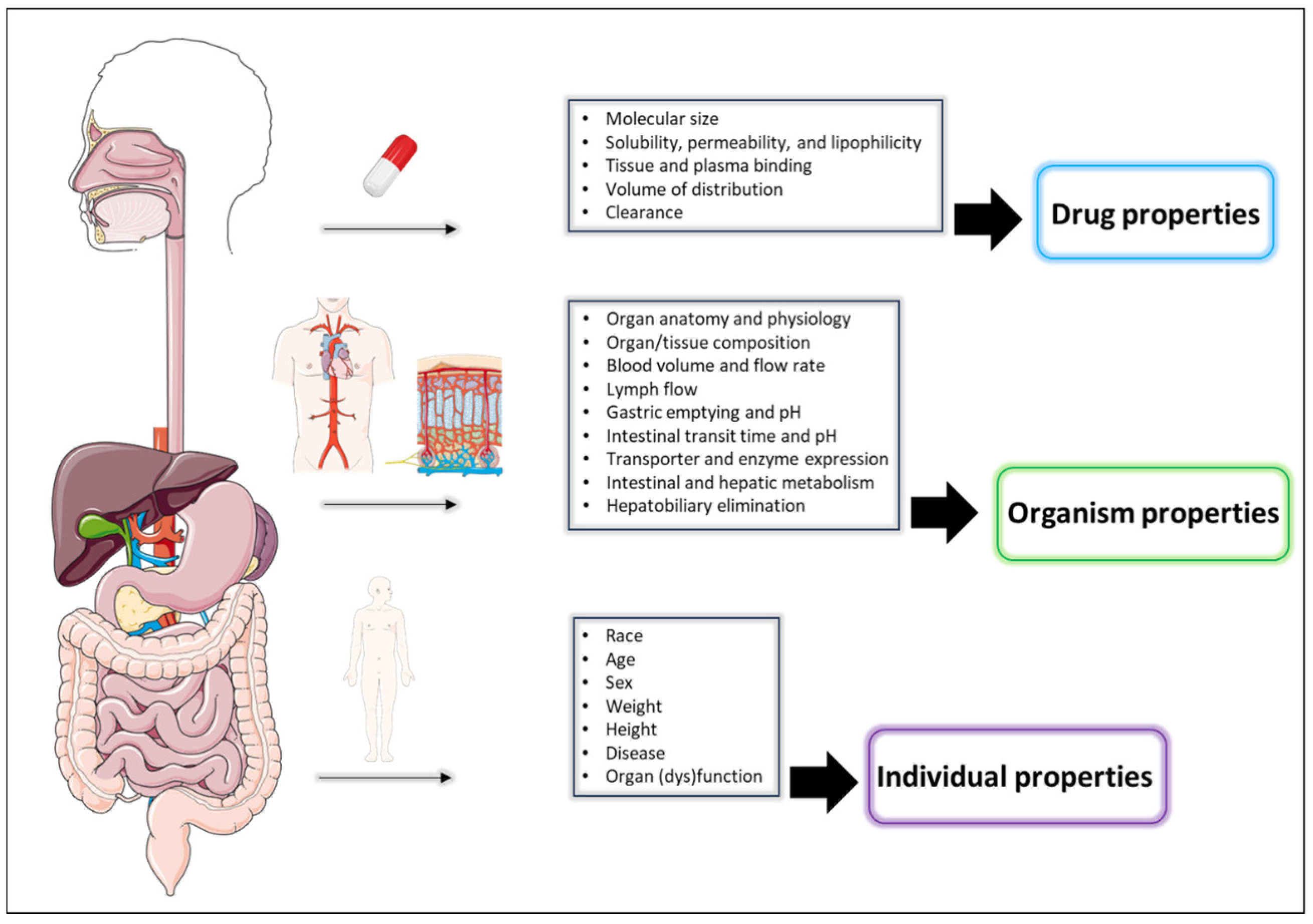 Biomedicines 12 01974 g001