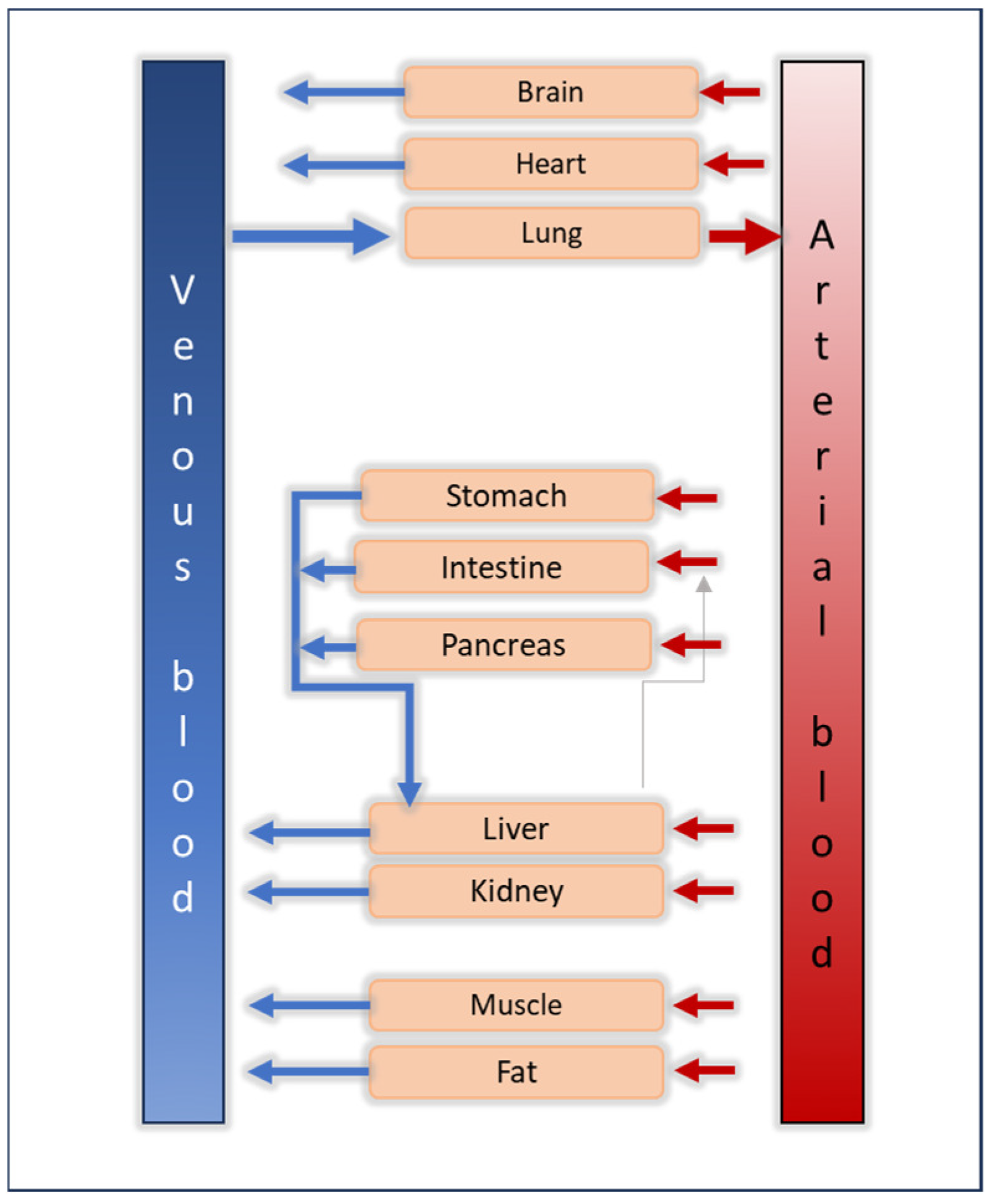 Biomedicines 12 01974 g002
