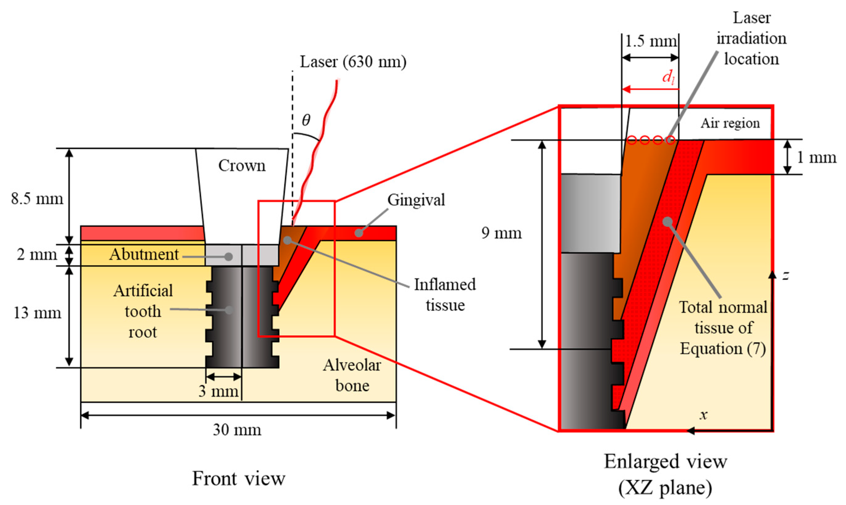Biomedicines 12 01976 g001