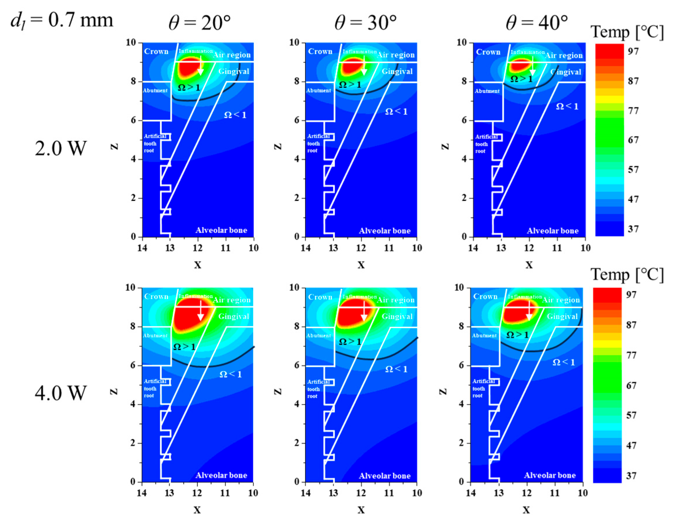 Biomedicines 12 01976 g003