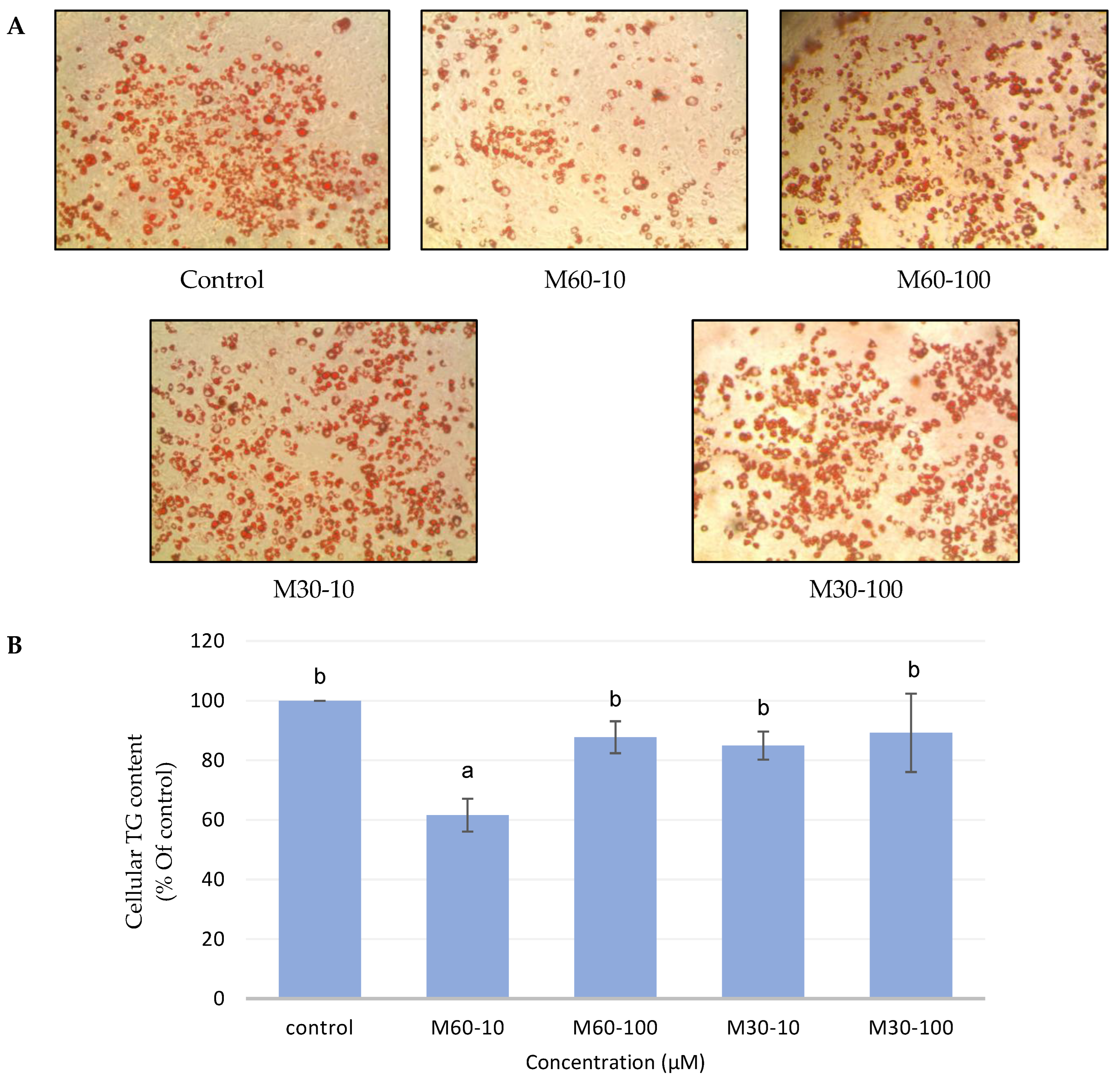 Biomedicines 12 01980 g002