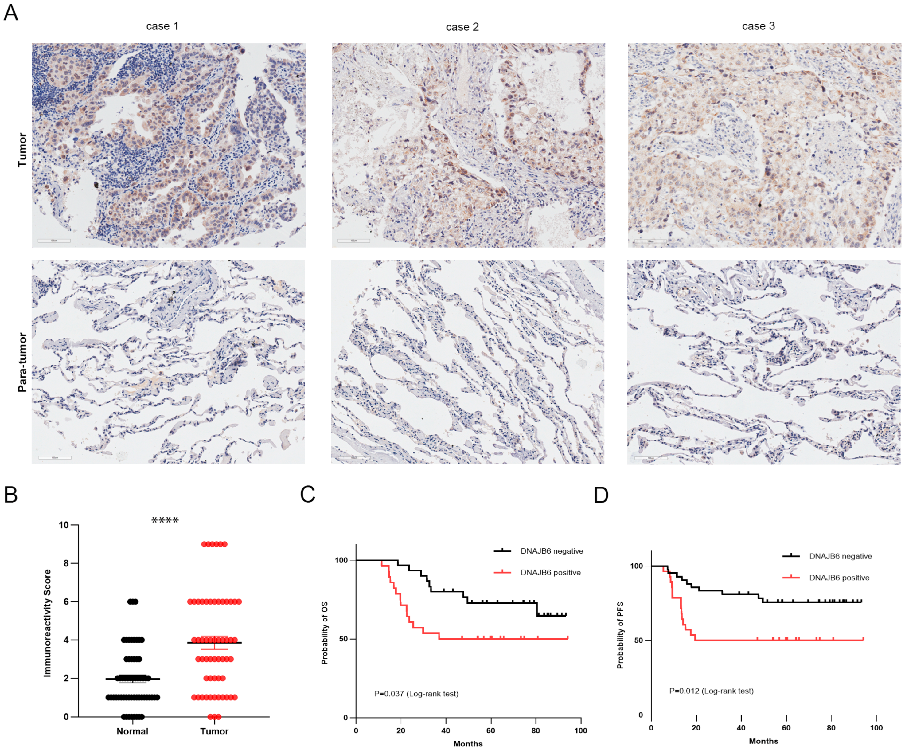 Biomedicines 12 01981 g004