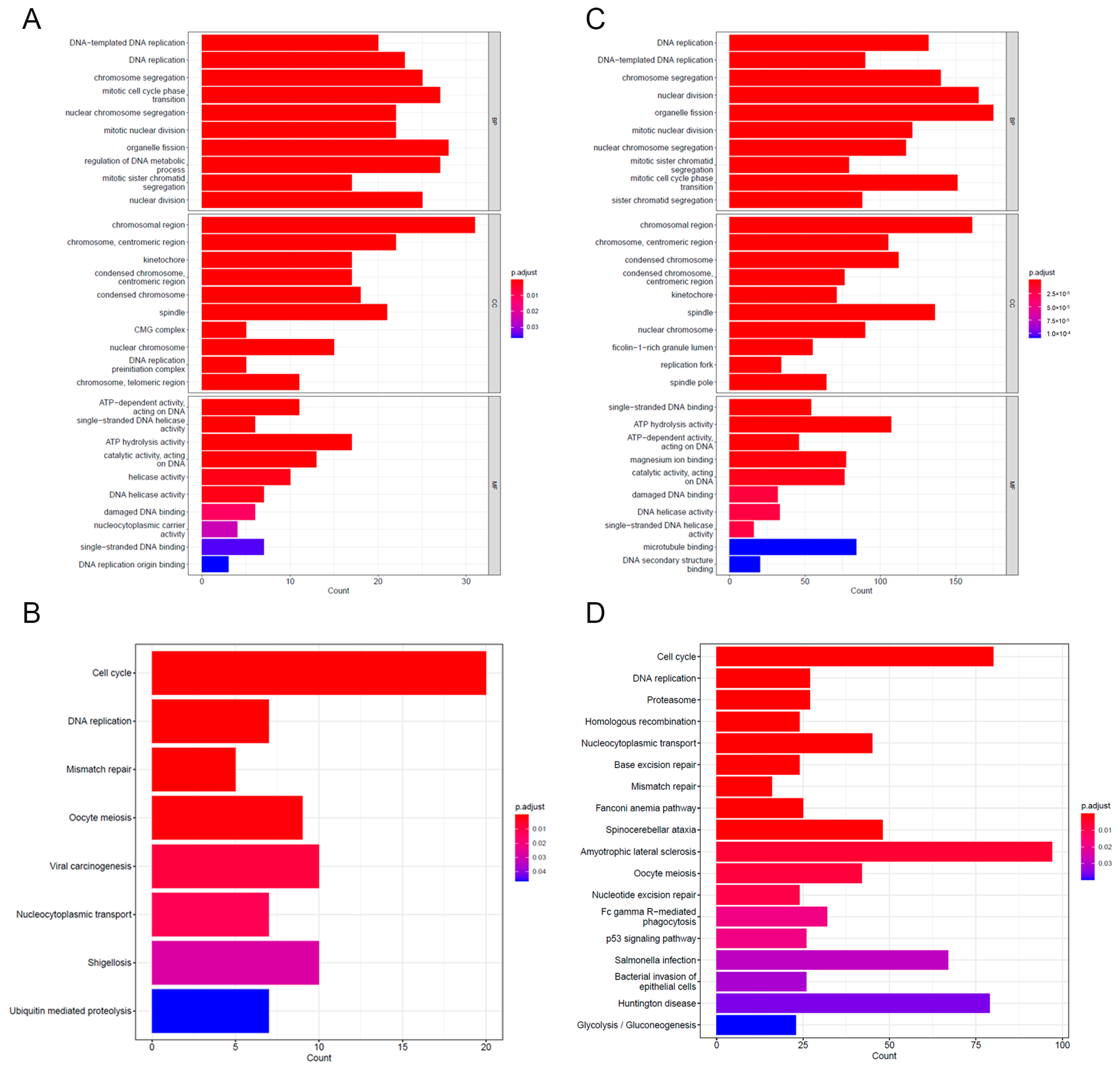 Biomedicines 12 01981 g005